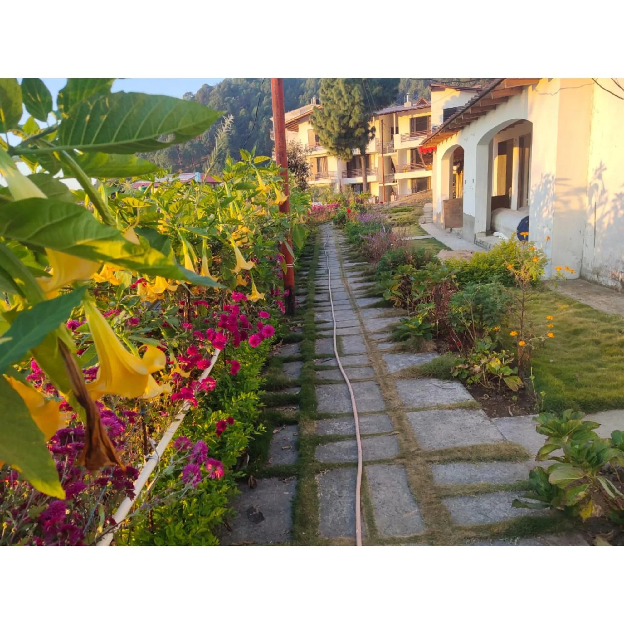 Garden in Just Naturals Wellness Resort Nainital