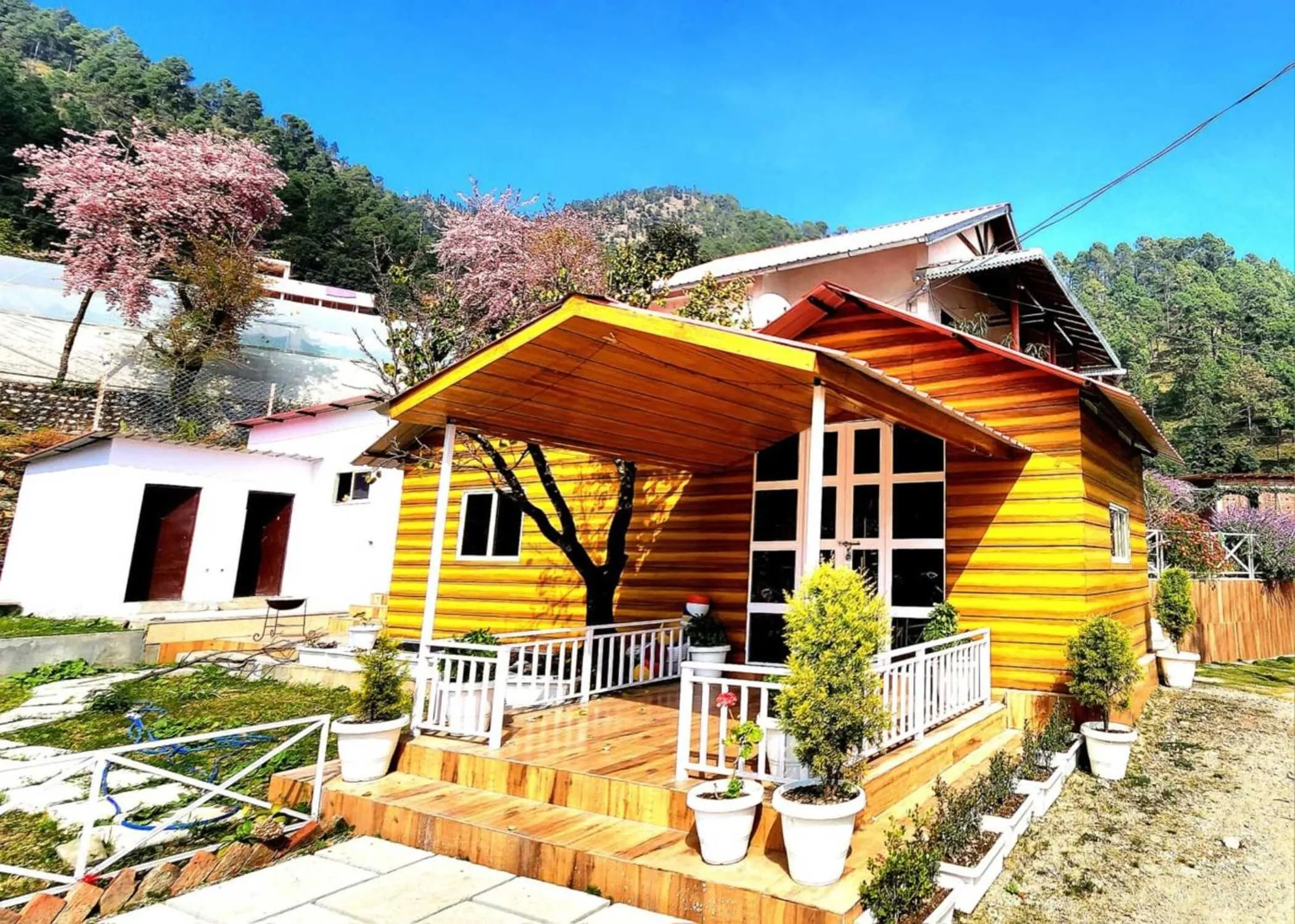 View (from property/room) in Just Naturals Wellness Resort Nainital