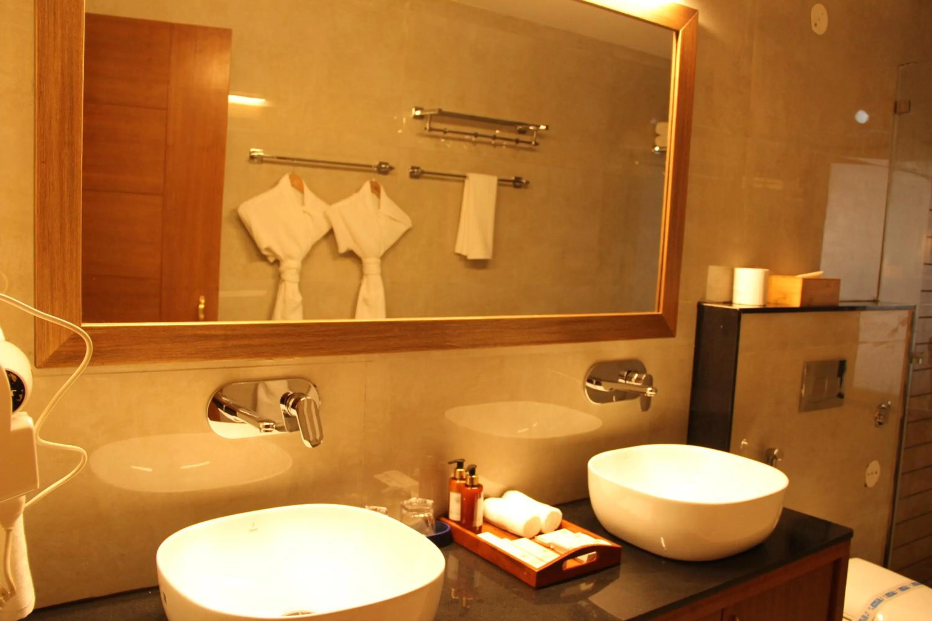 Bathroom in Tree of Life Eila Art Hotel, Manali