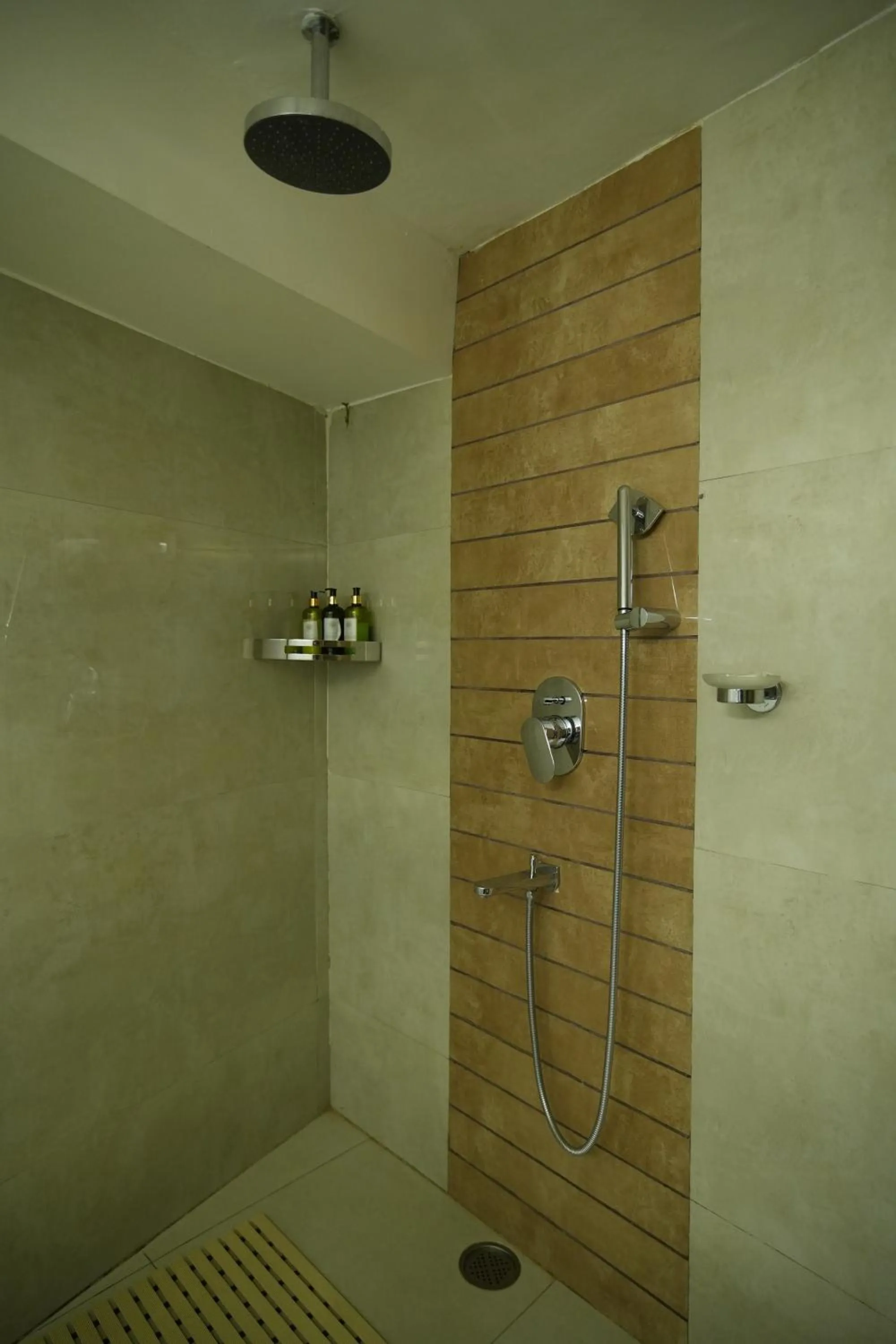 Tree of Life Eila Art Hotel, Manali