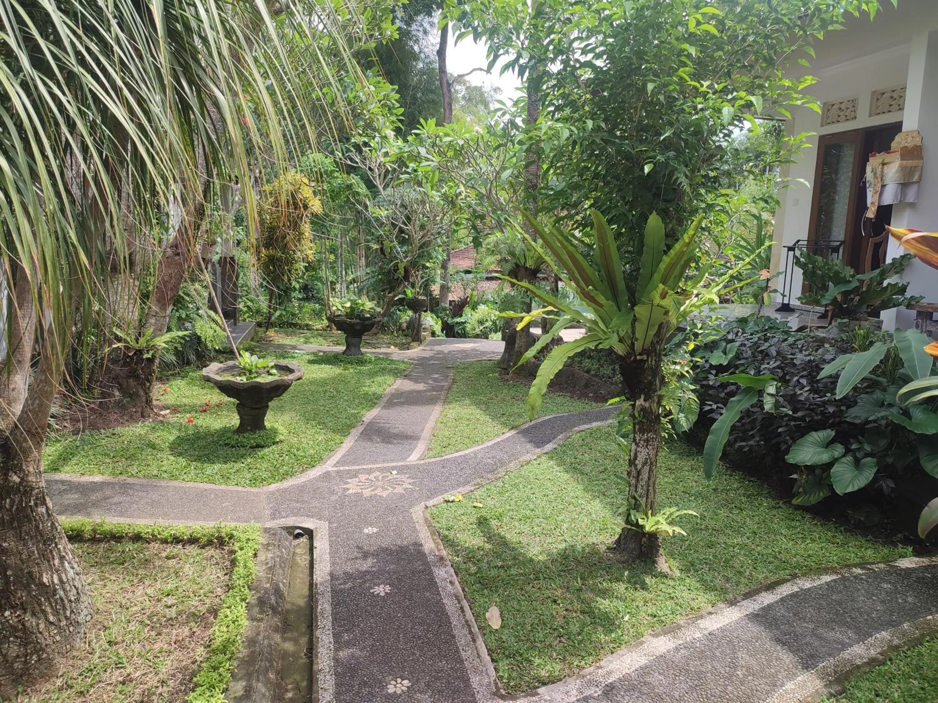 View (from property/room) in Nyoman Homestay Ubud