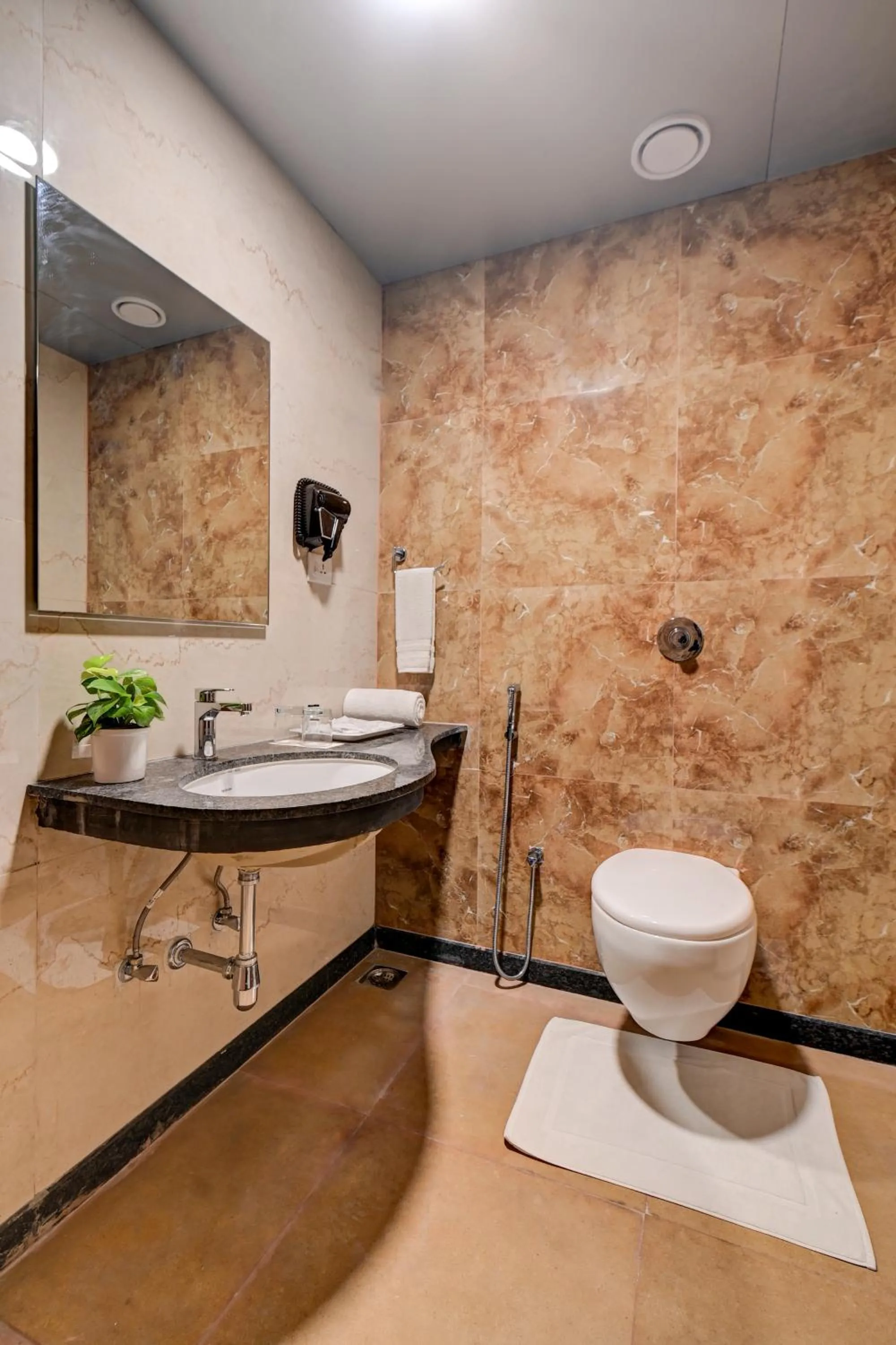 Toilet in Hotel Tip Top International Pune