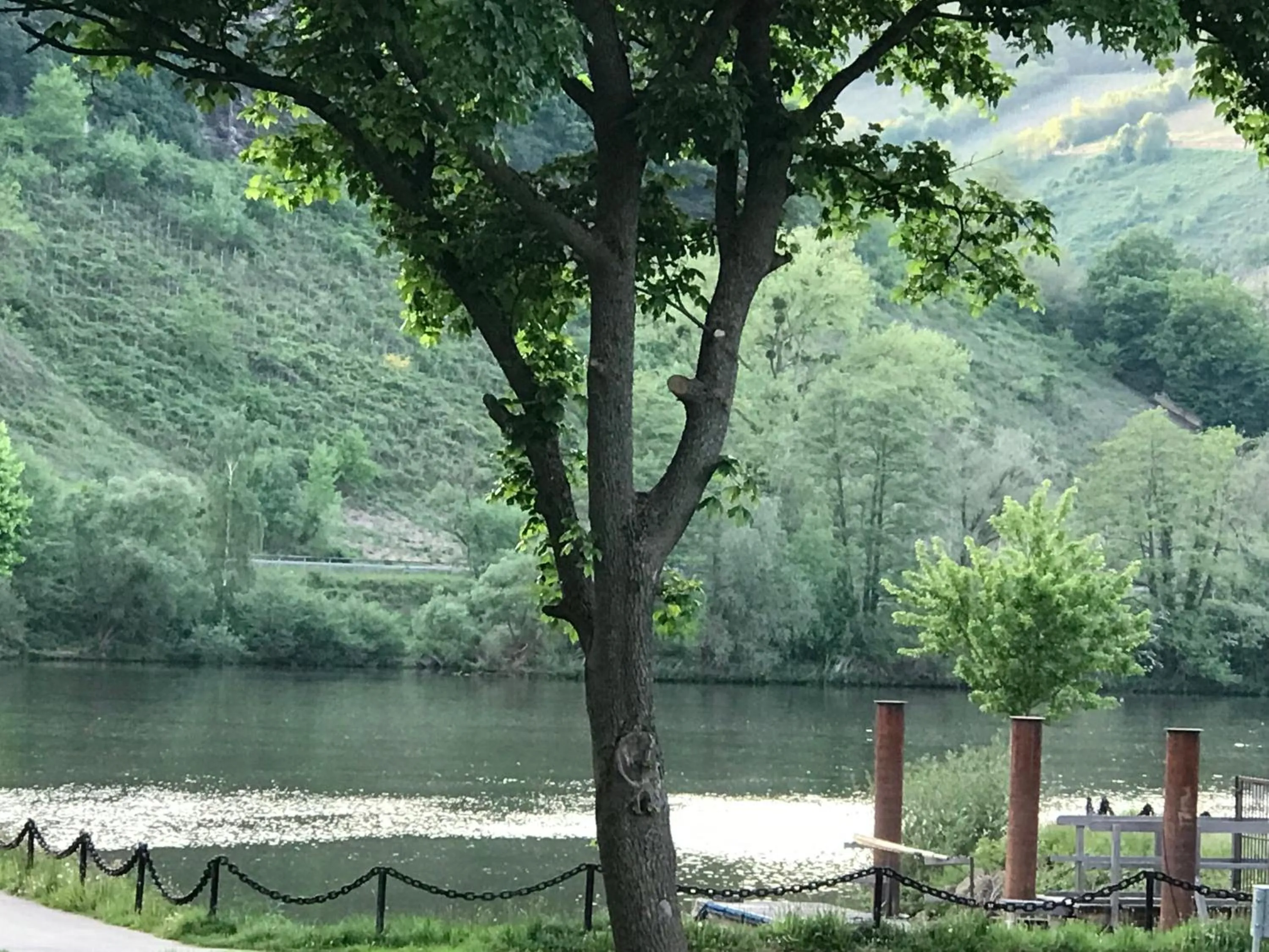 Landmark view in Gästezimmer Klein und Fein für nach dem Wein