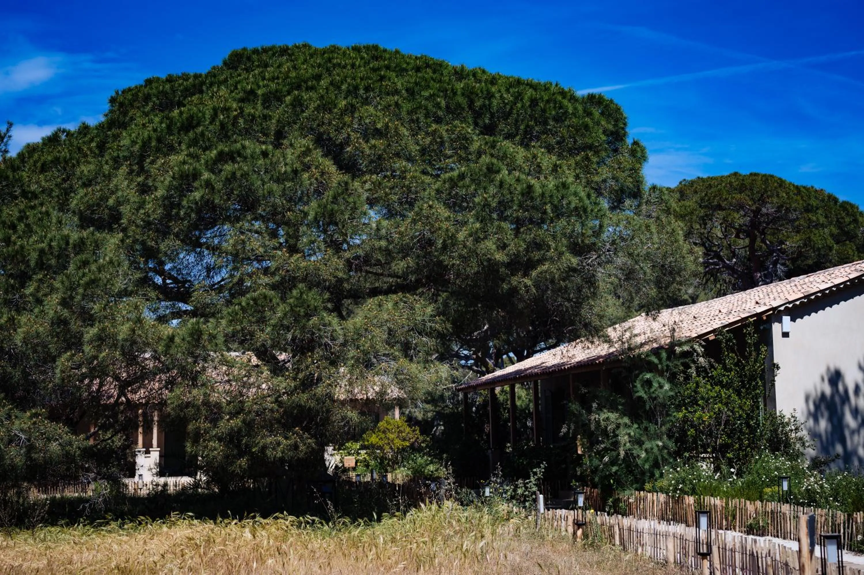 Natural landscape in Le Hameau Des Pesquiers Ecolodge & Spa, Curio Collection By Hilton
