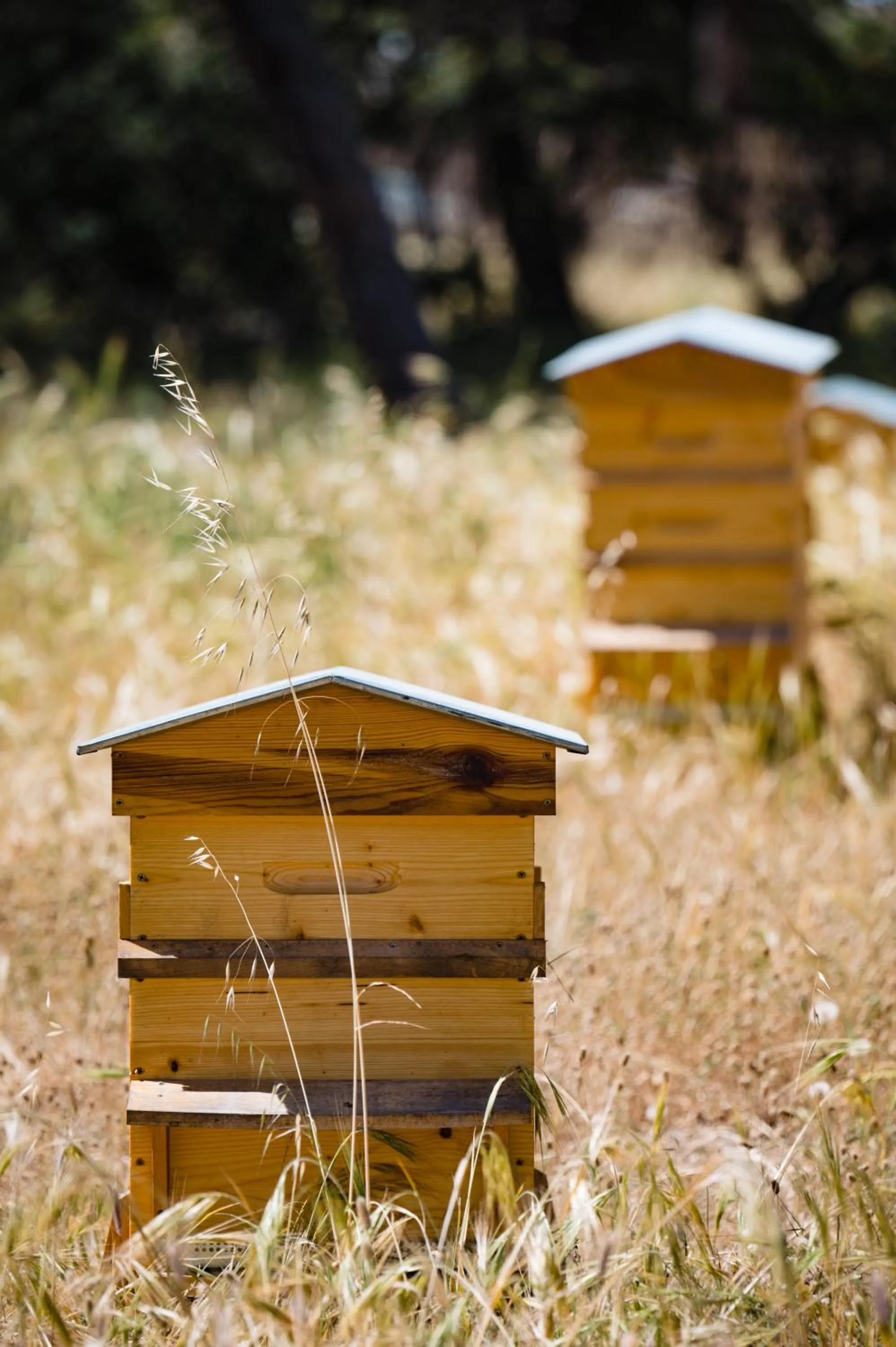 Natural landscape in Le Hameau Des Pesquiers Ecolodge & Spa, Curio Collection By Hilton