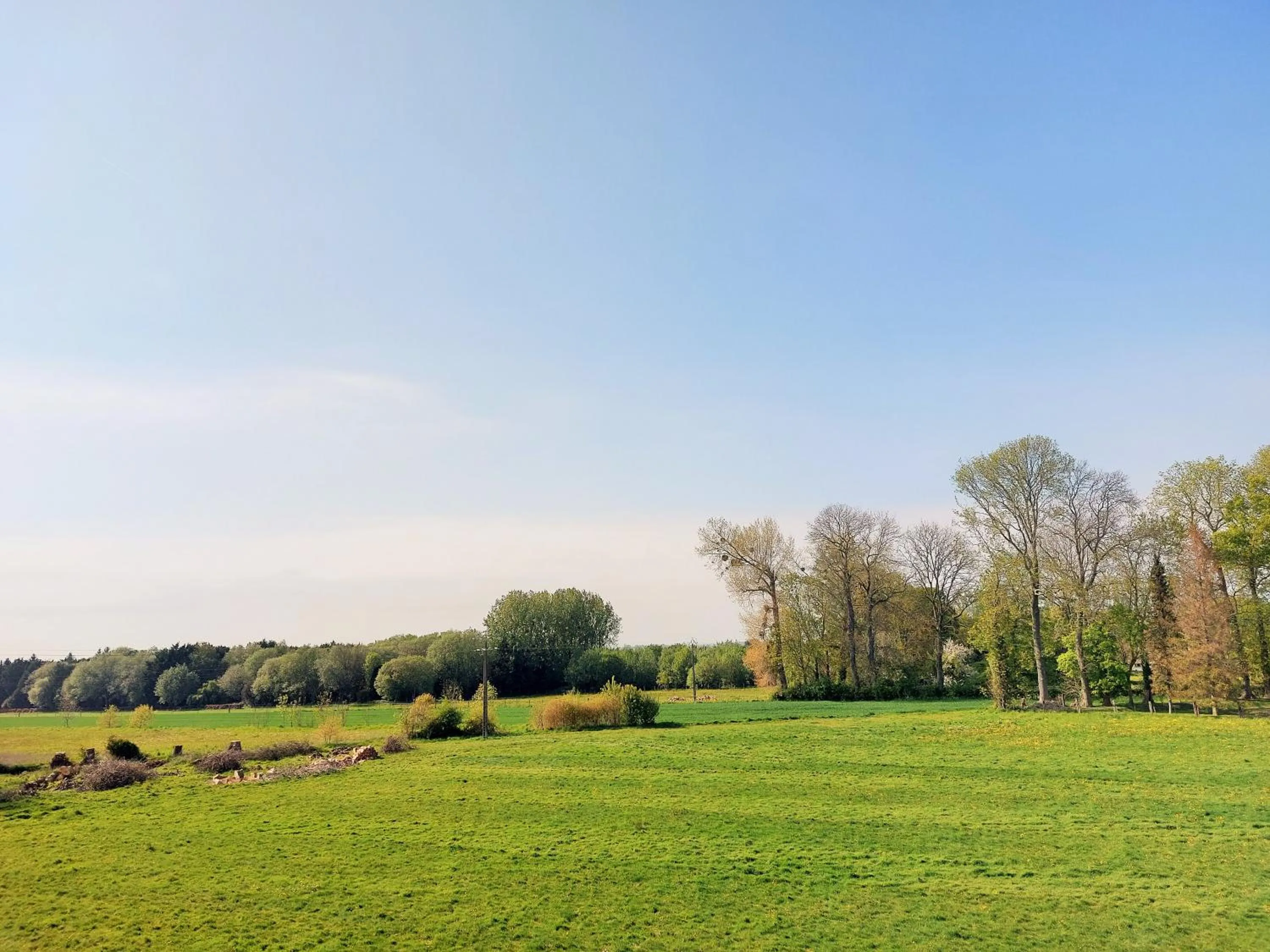 Natural landscape in LES JACQUEMARTS NORMANDS Maison d'hôtes - Guesthouse
