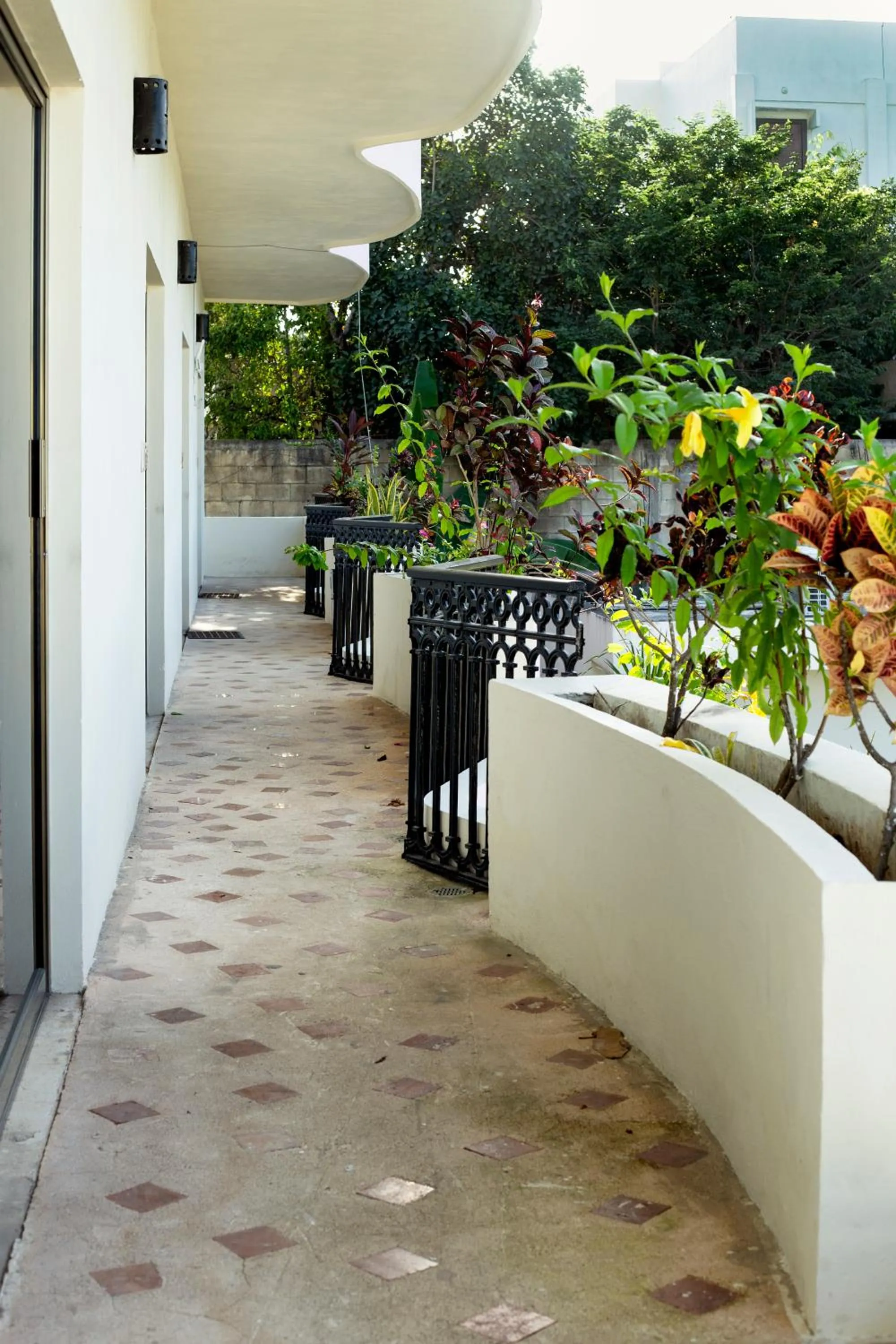 Balcony/Terrace in hotel stella maris tulum