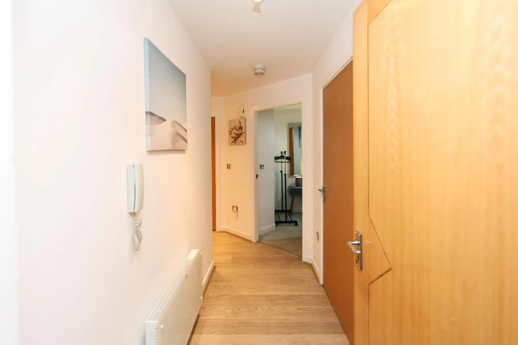 Albion Street Apartments