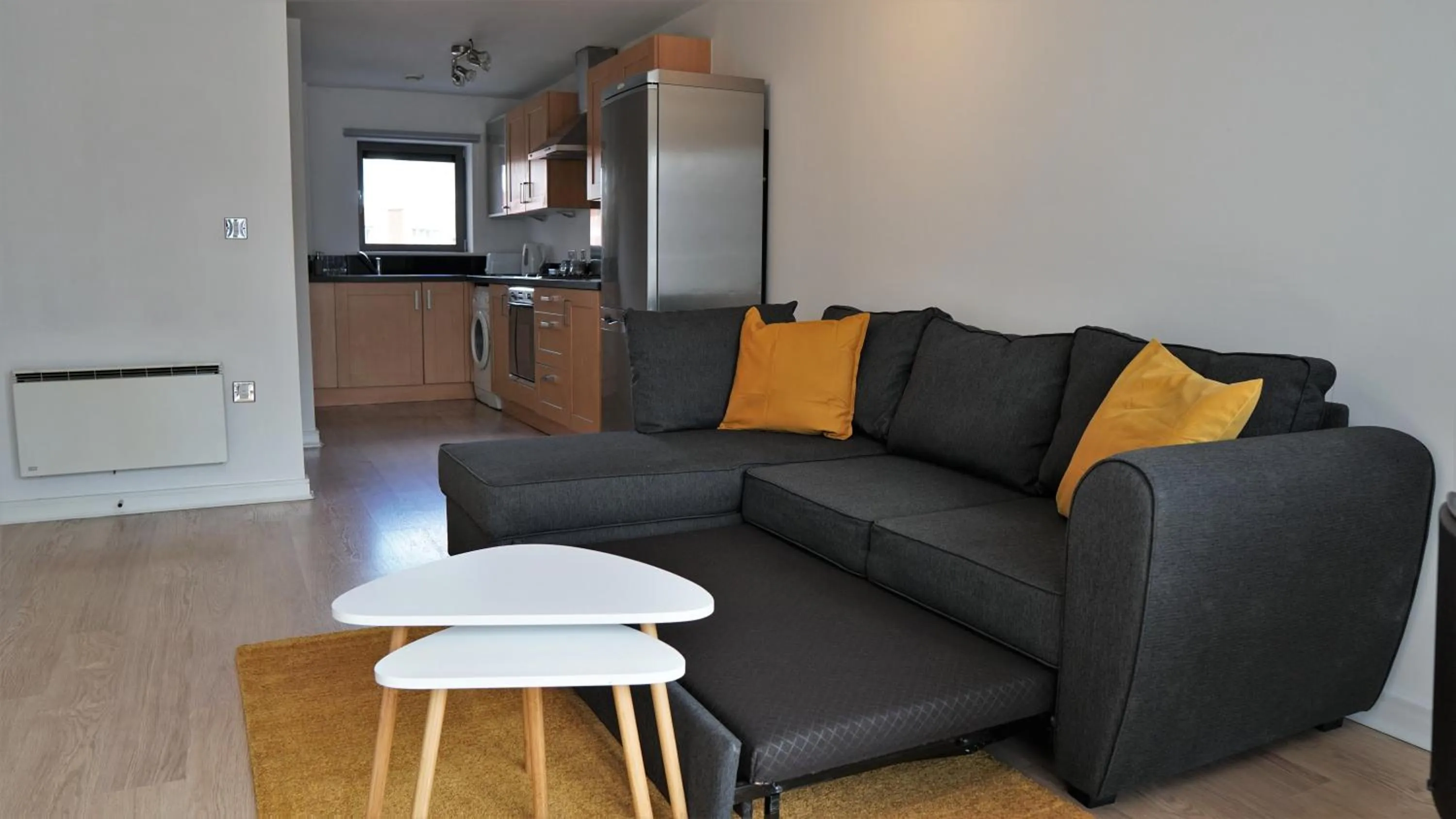 Living room in Albion Street Apartments