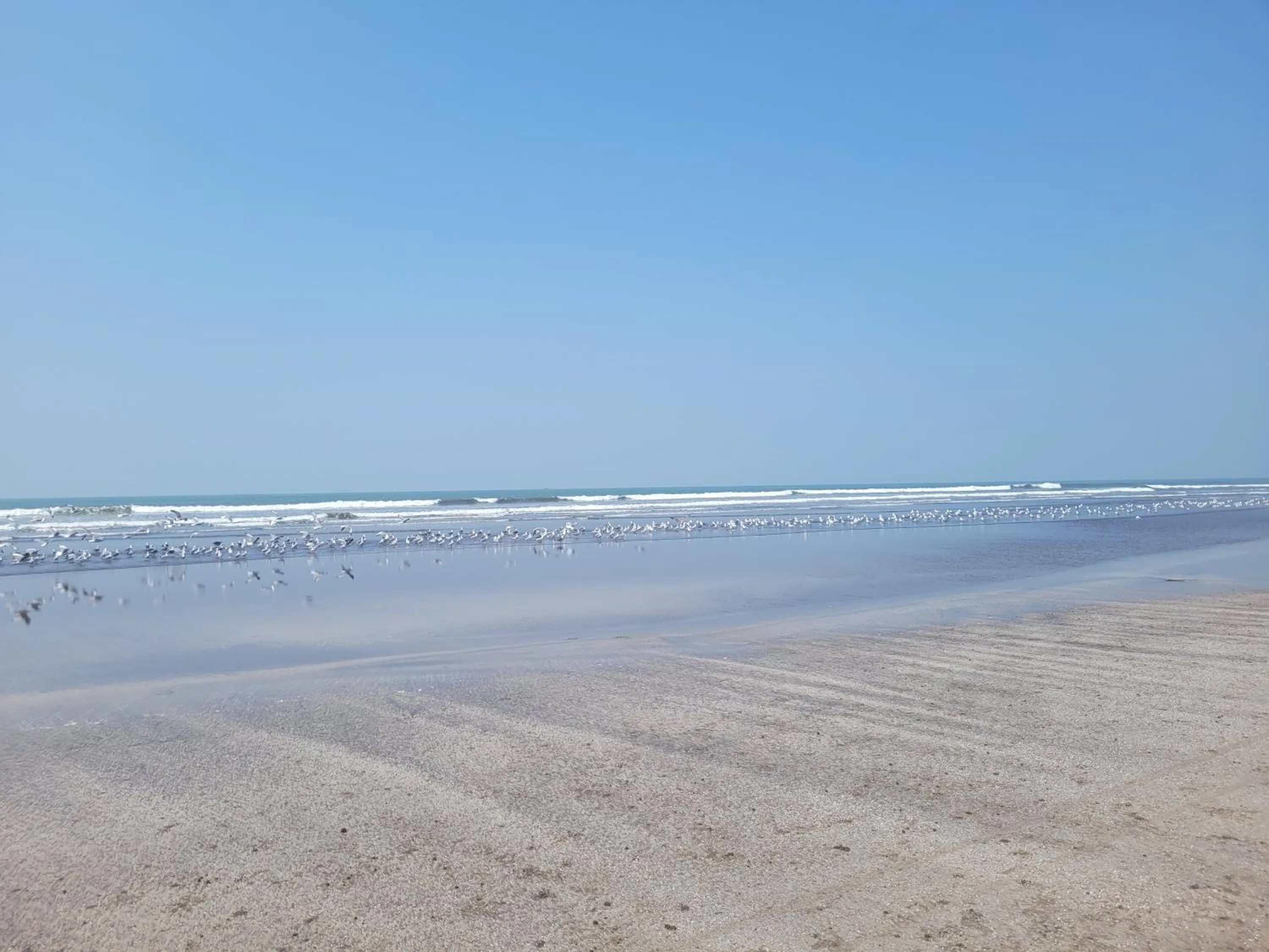 Beach in Cocorico Beach Resort