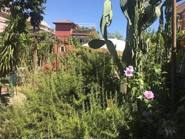 Garden in Hotel Lodi