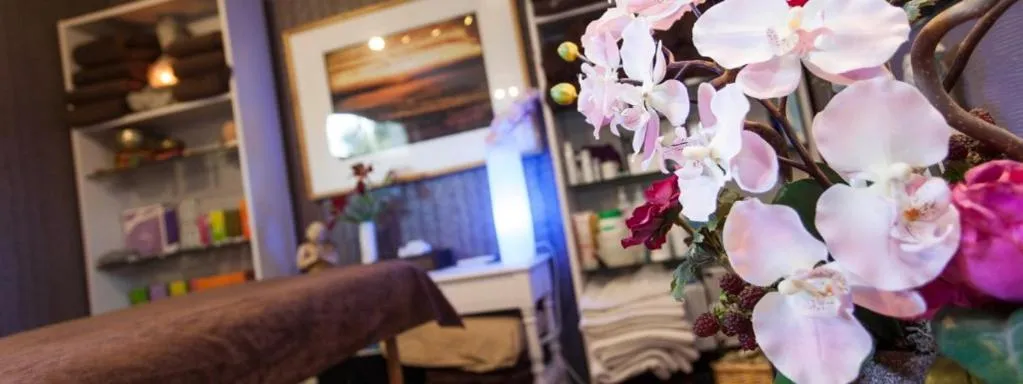 Massage in Harmonice