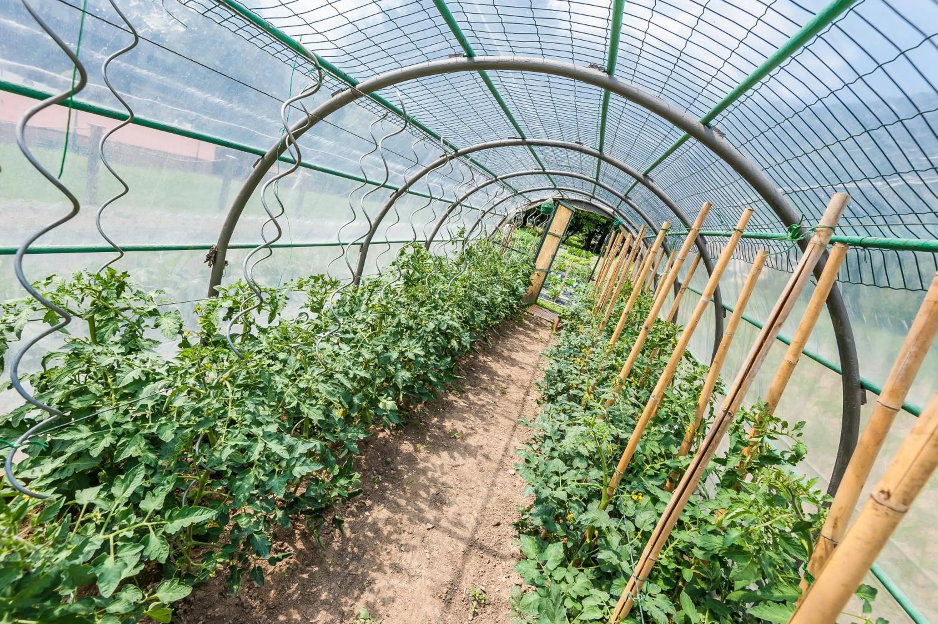 Other in Hotel Al Sorriso Greenpark & Wellness