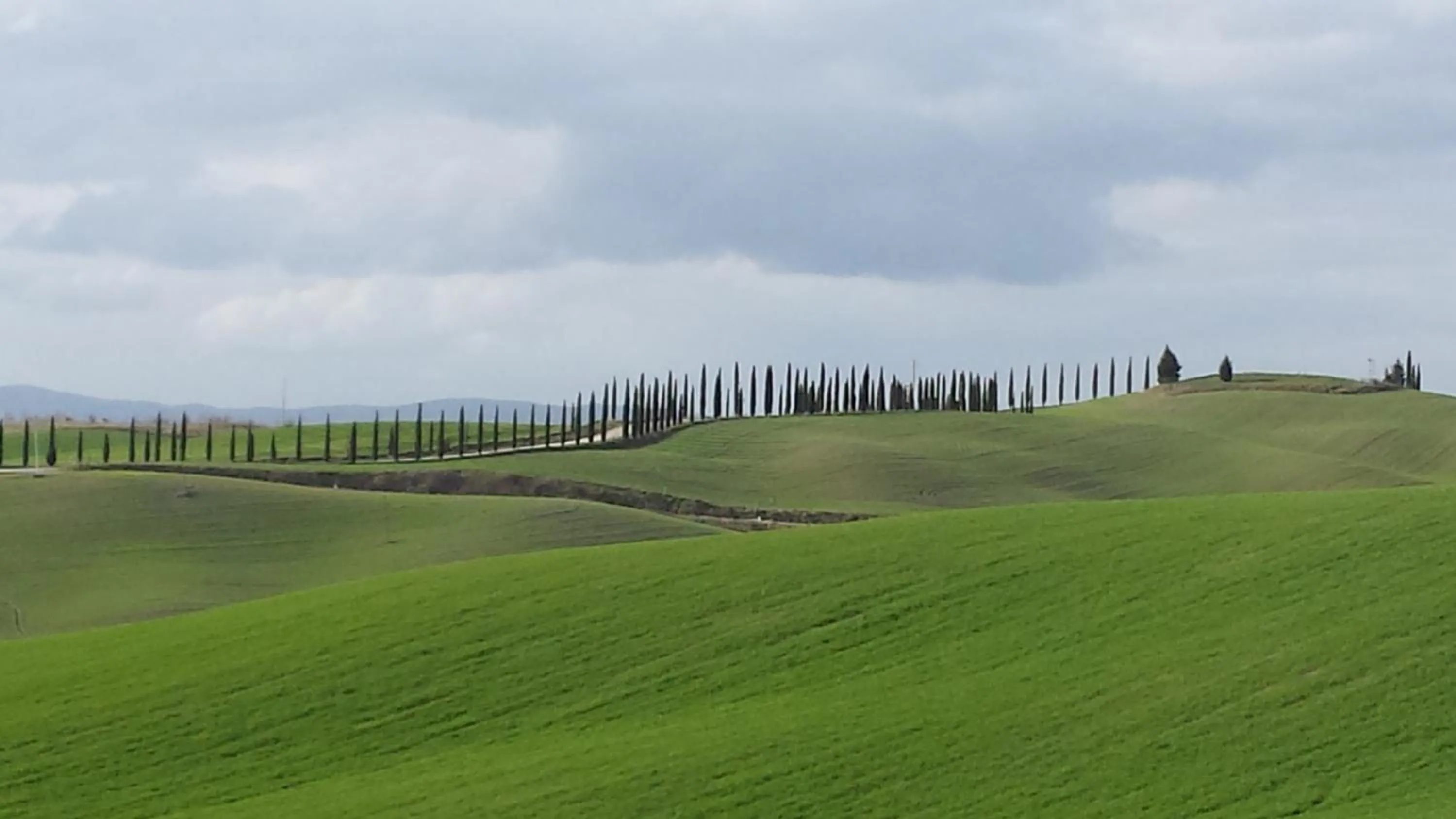 Seasons in 1000 Miglia