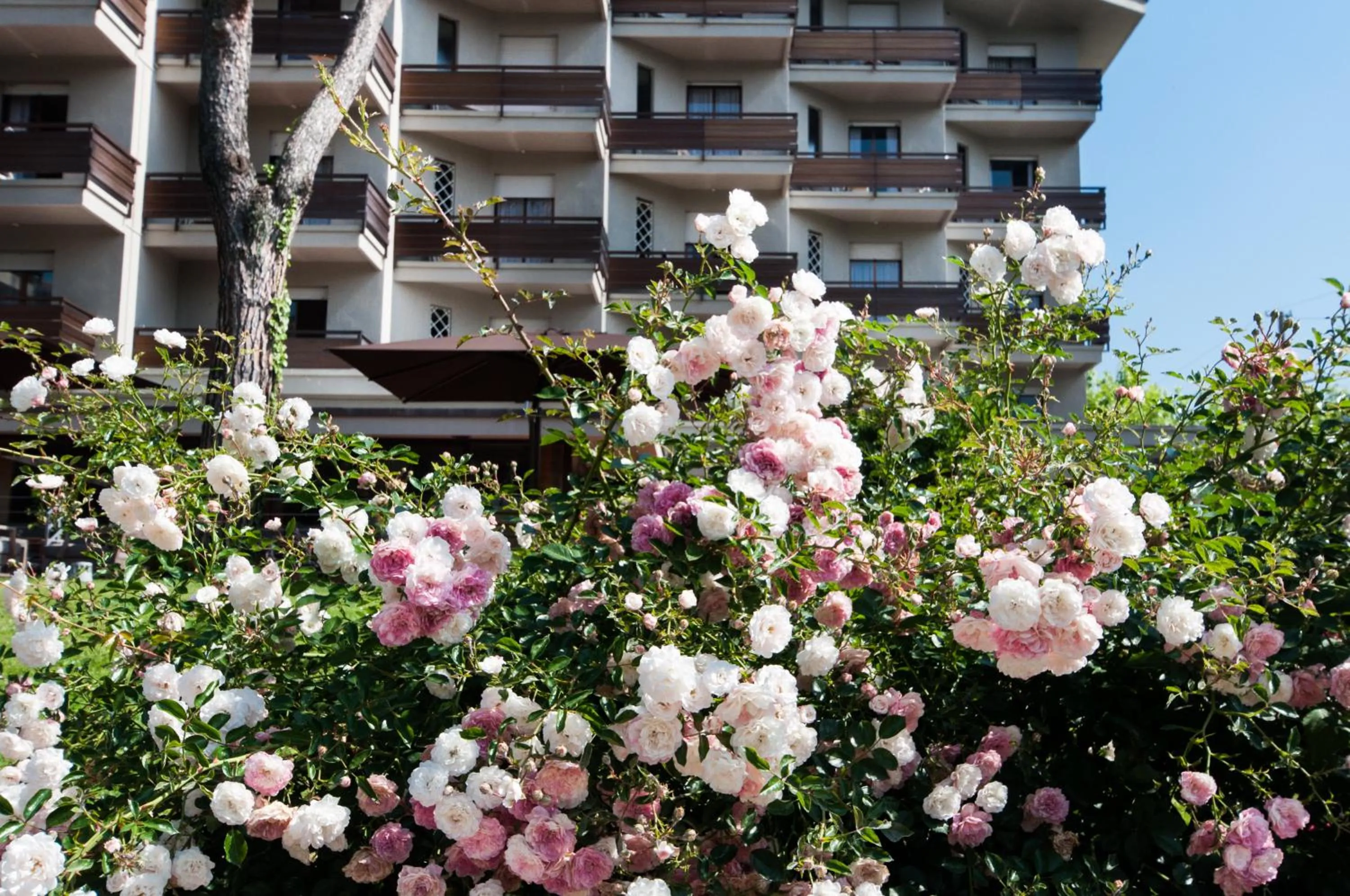 Facade/entrance in Hotel Michelangelo & Day SPA