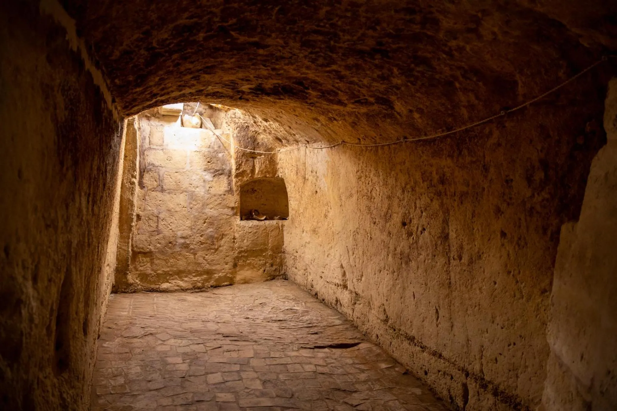 Area and facilities in Hotel San Giorgio