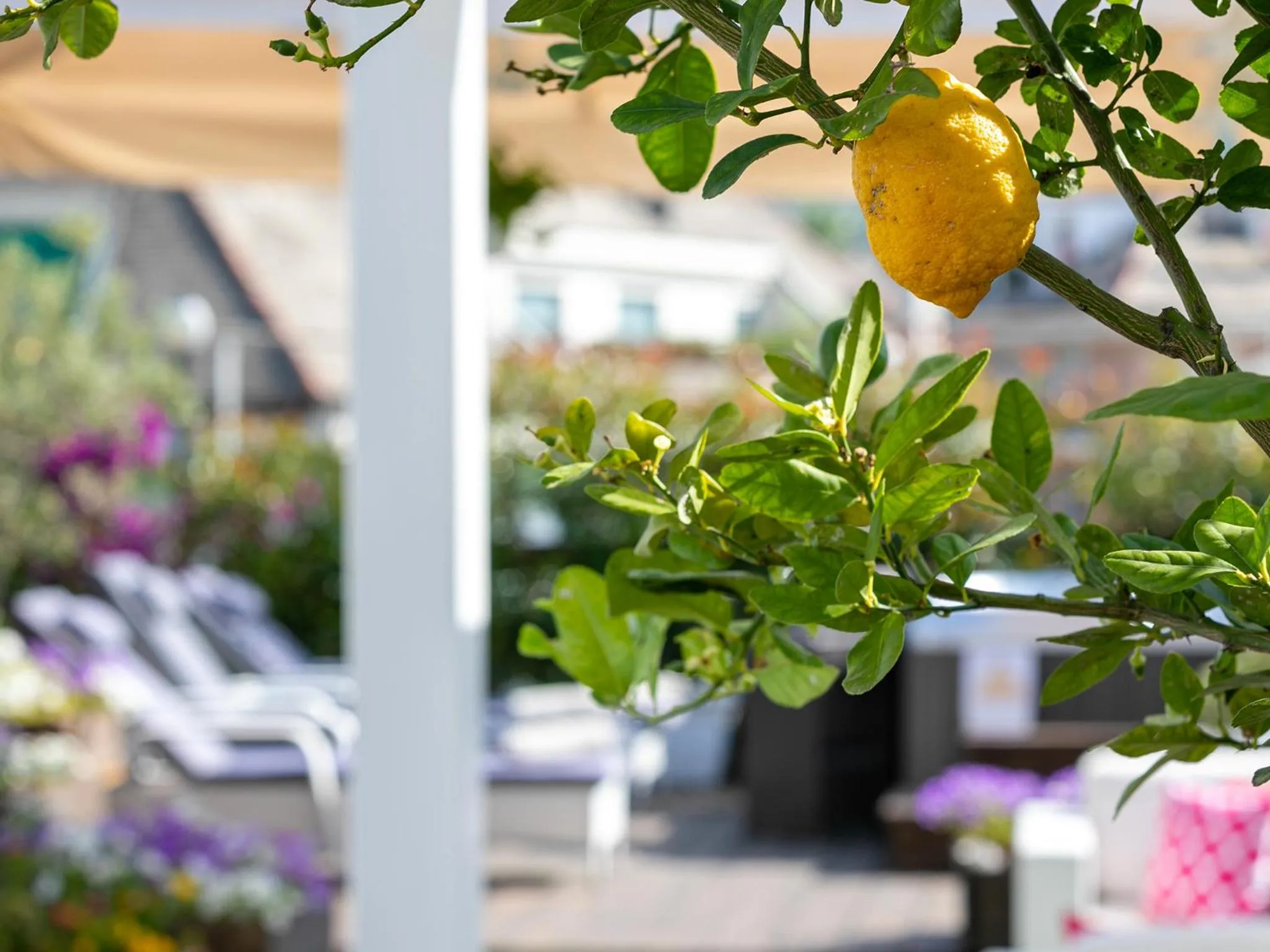 Hotel Tigullio Et De Milan