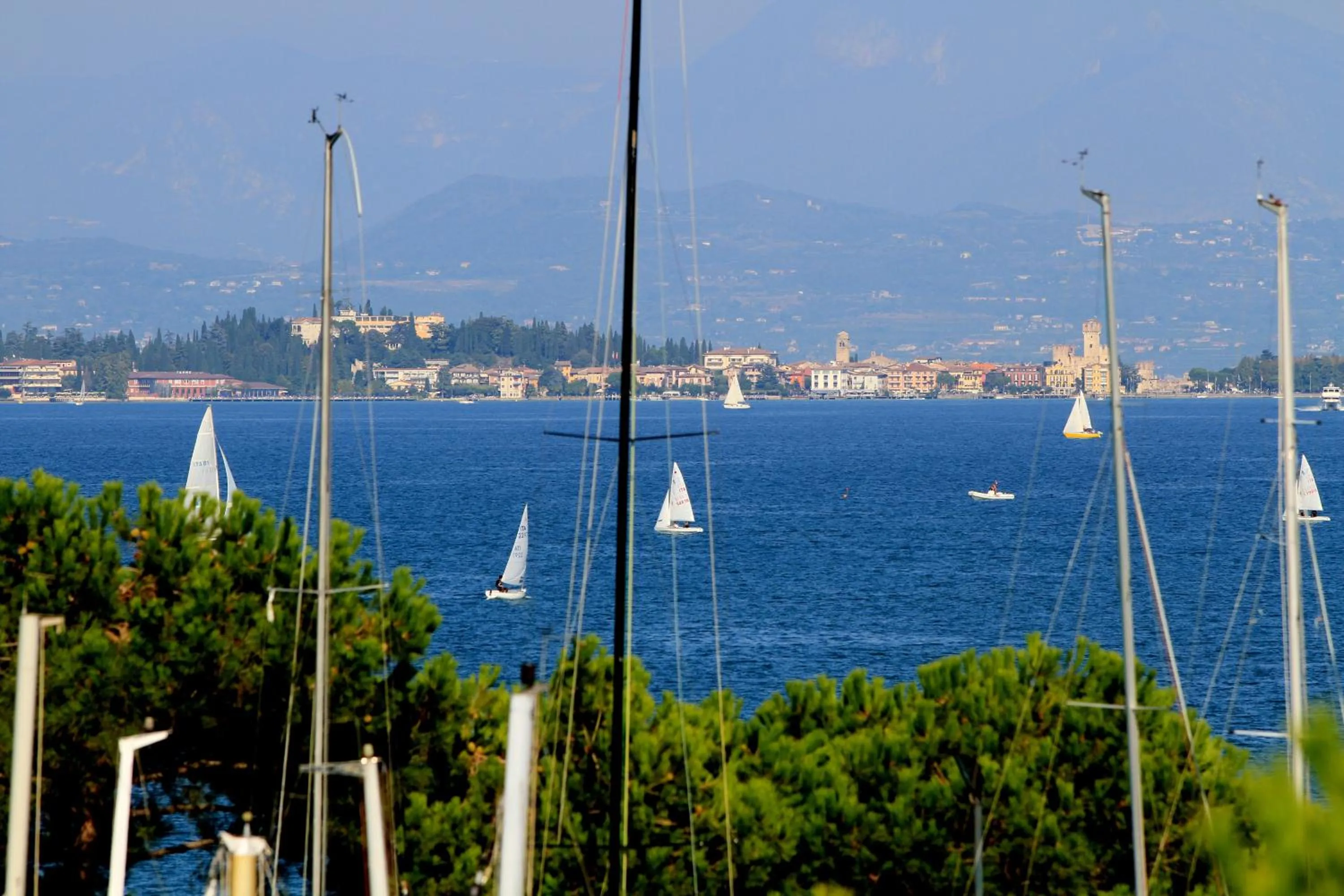 Area and facilities in Hotel Plaza