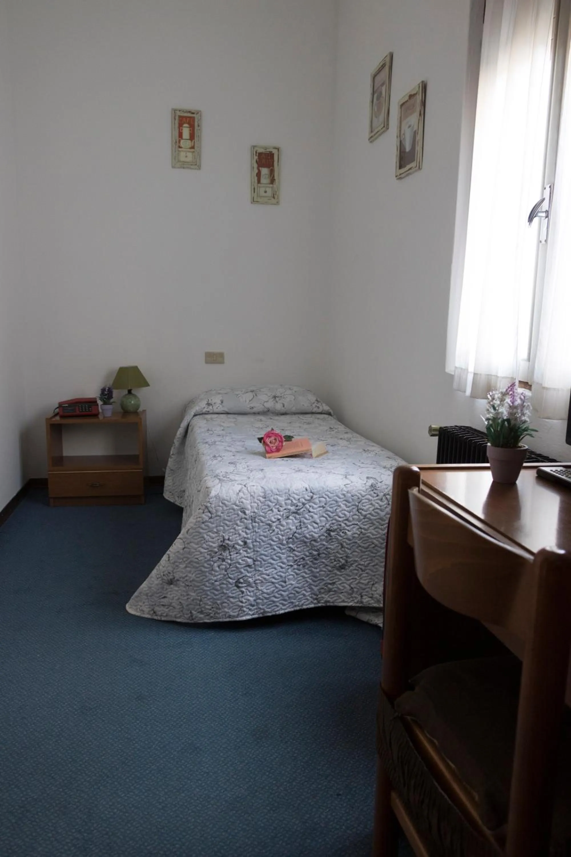 Photo of the whole room in Hotel Primavera