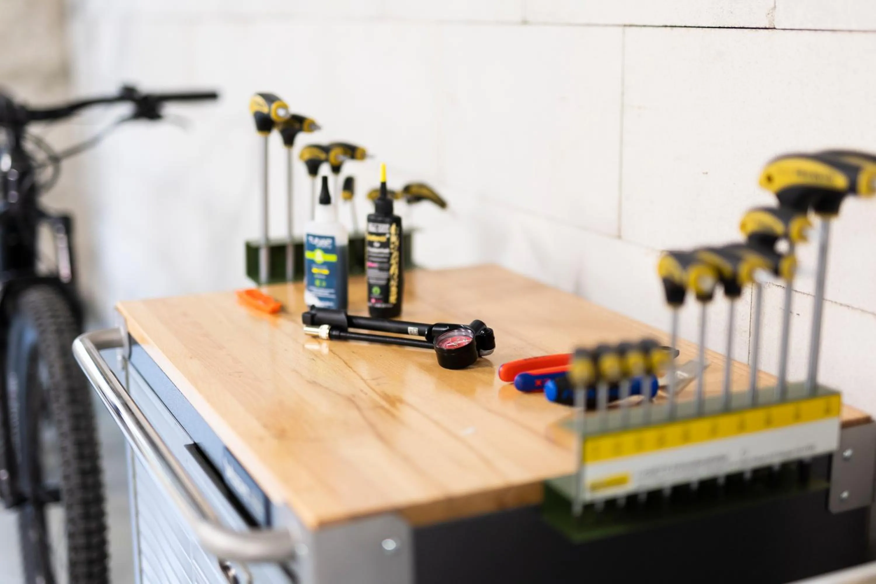 Cycling in Bike- und Ferienhotel Freiburg