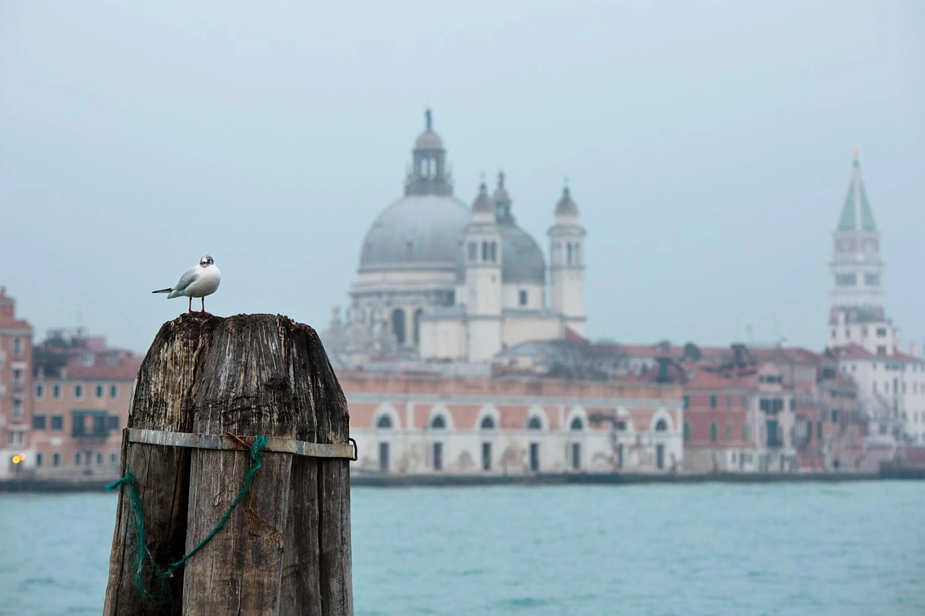 Nearby landmark in Ca' San Polo - Ferretti Hotels Collection
