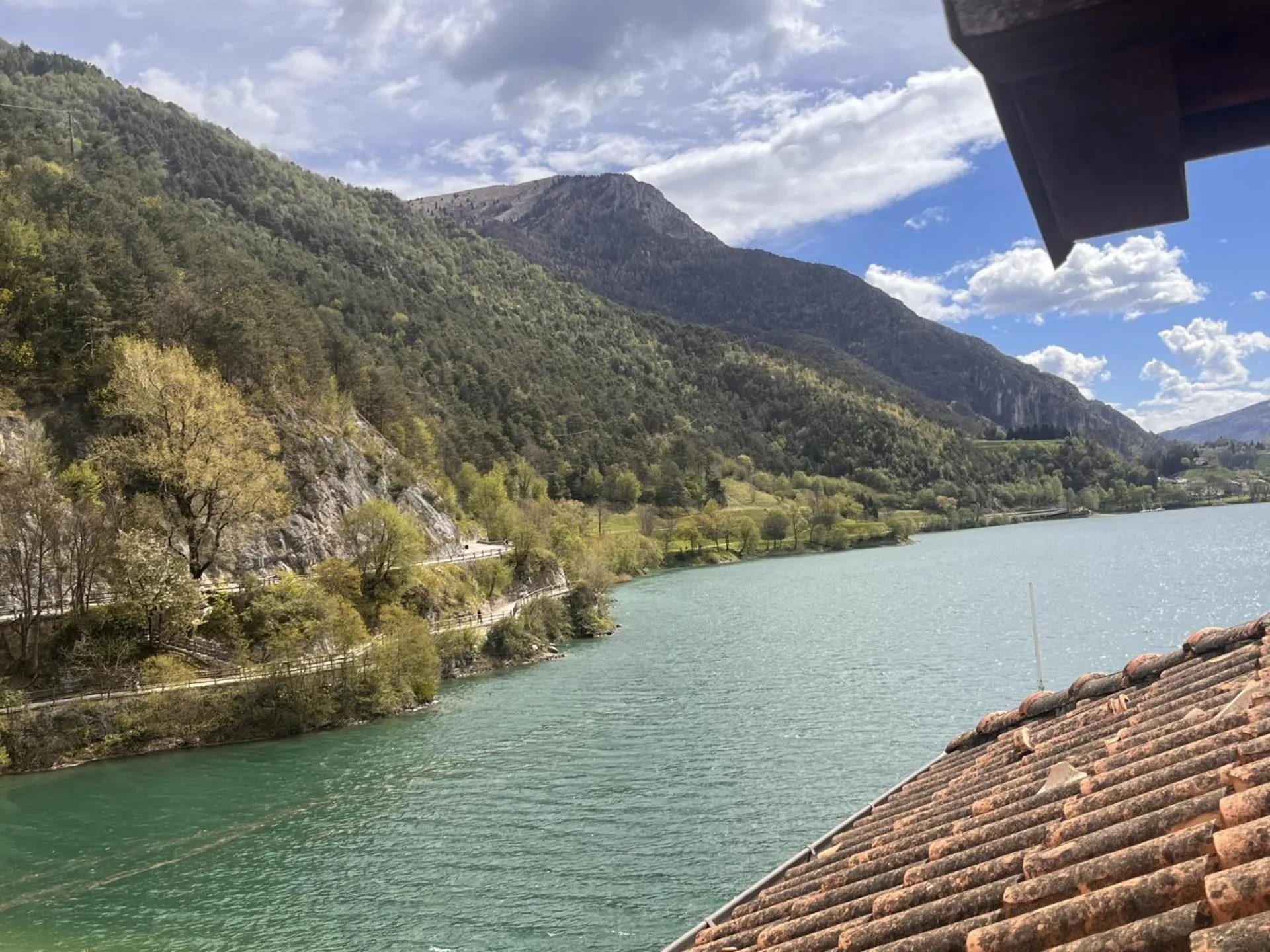 View (from property/room) in Hotel Lido