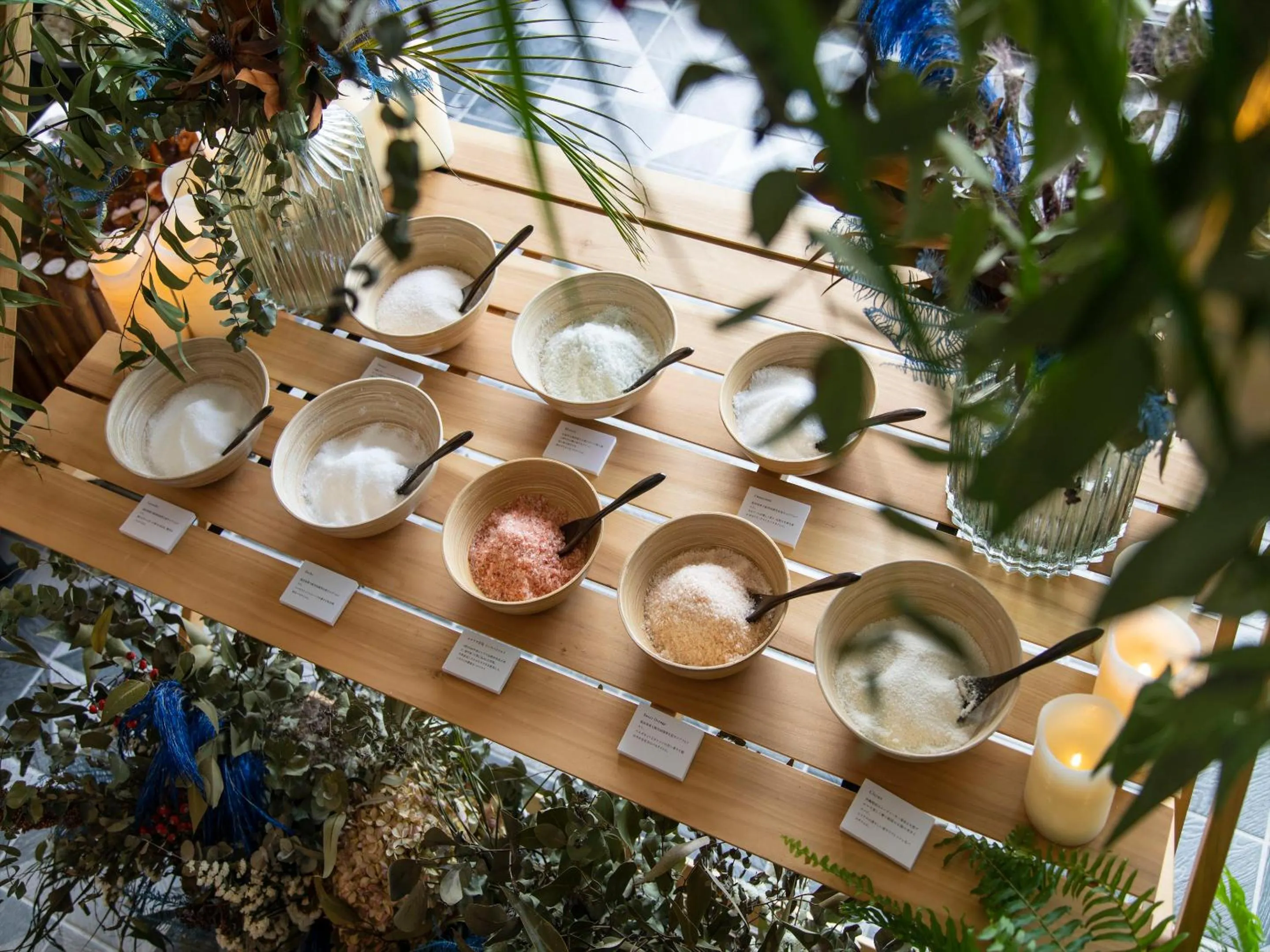 Area and facilities in AQUASENSE Hotel & Resort