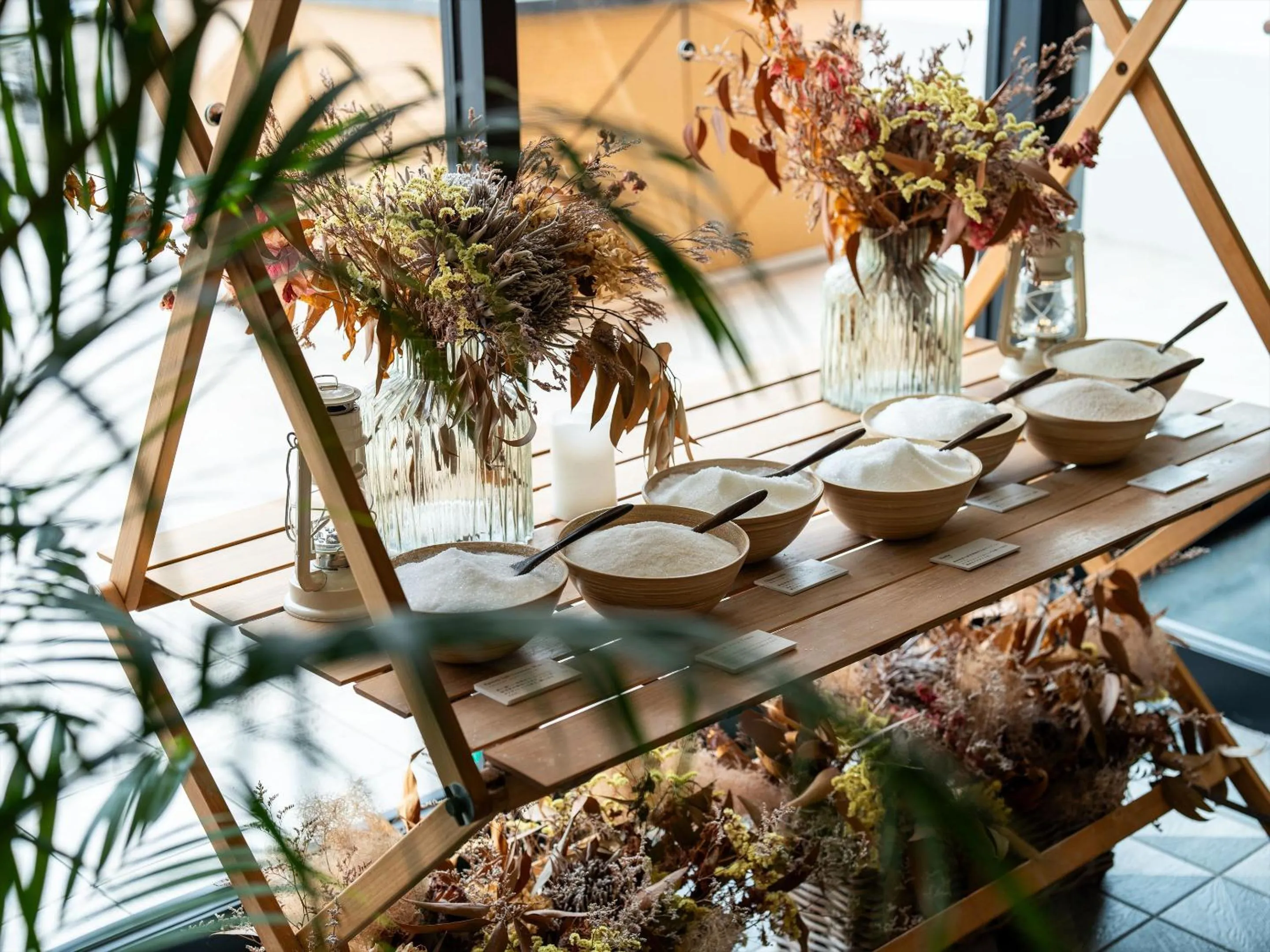 Area and facilities in AQUASENSE Hotel & Resort