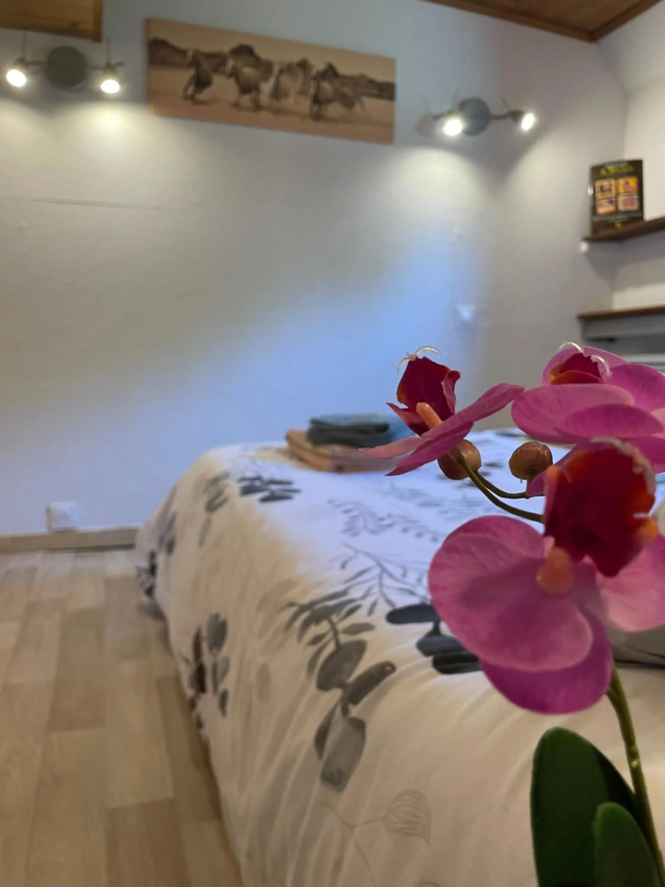 Bedroom, Bed in Péniche Le Pescalune - Chambre d'hôtes