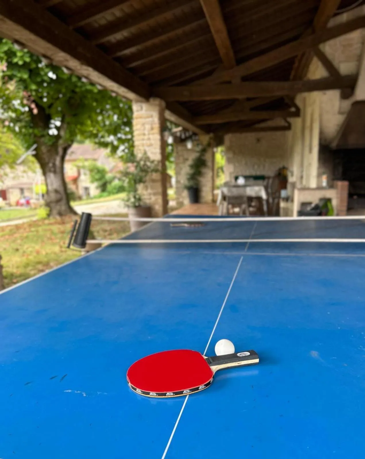 Table tennis in Domaine de Fontsauzine - gîtes et chambre d'hôtes