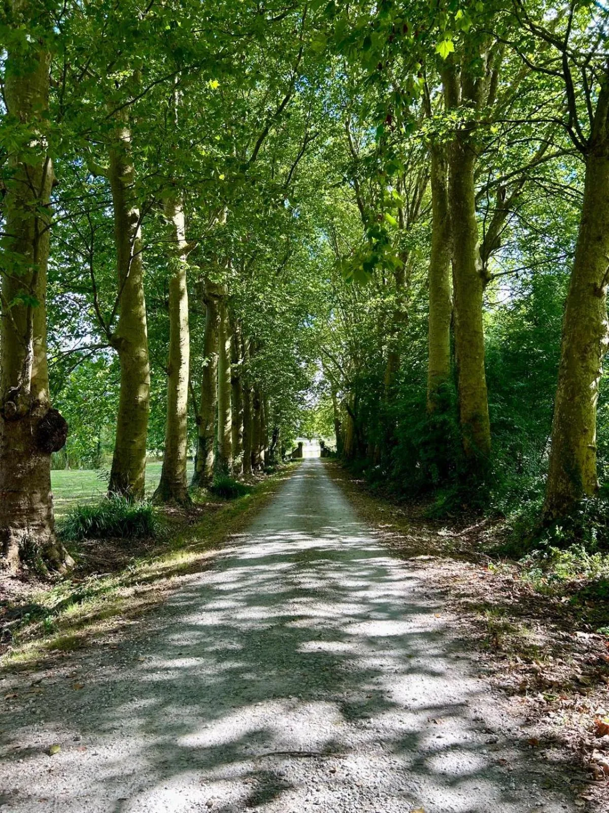 Domaine de Fontsauzine - gîtes et chambre d'hôtes