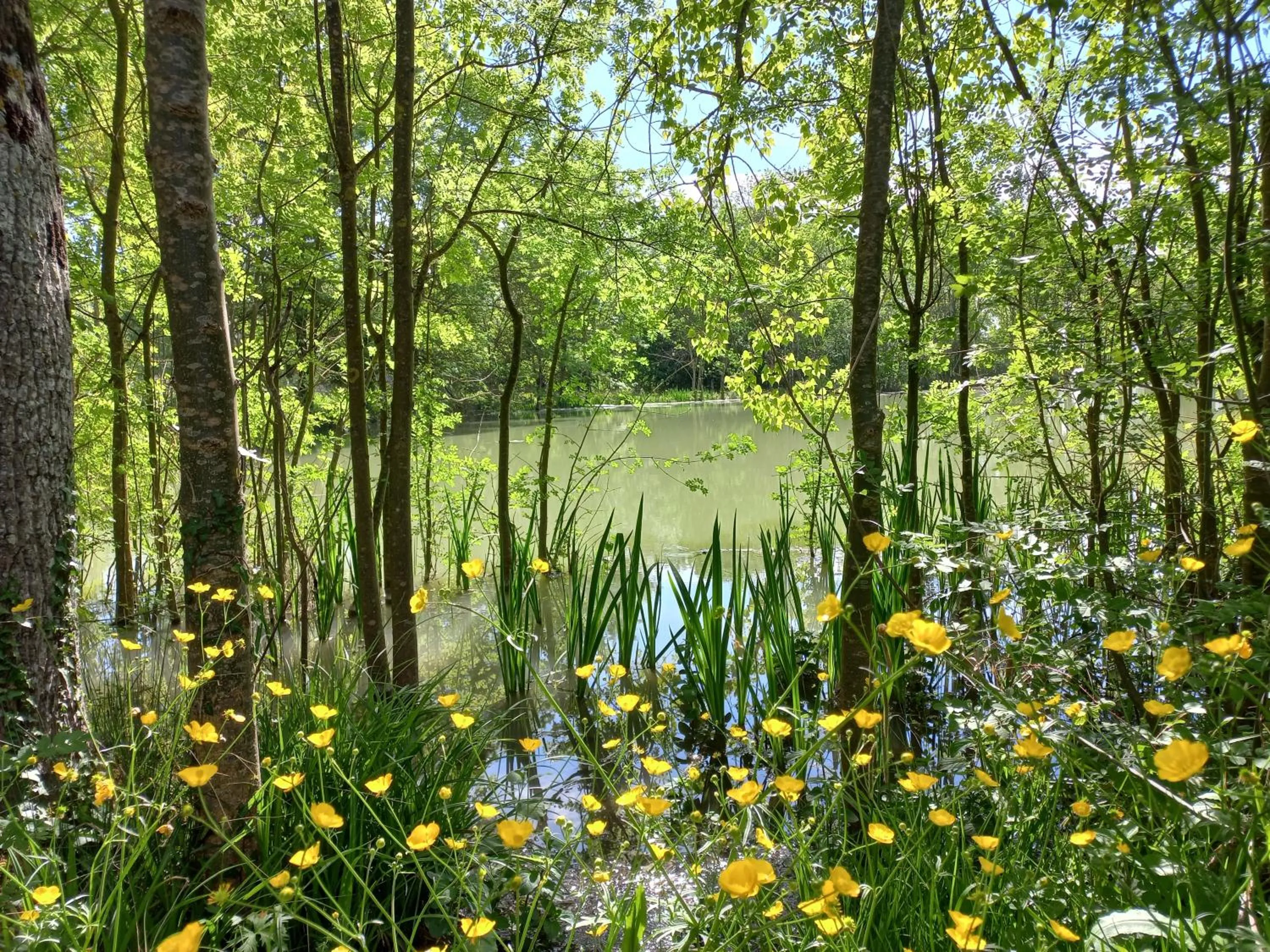 Lake view in Domaine de Fontsauzine - gîtes et chambre d'hôtes