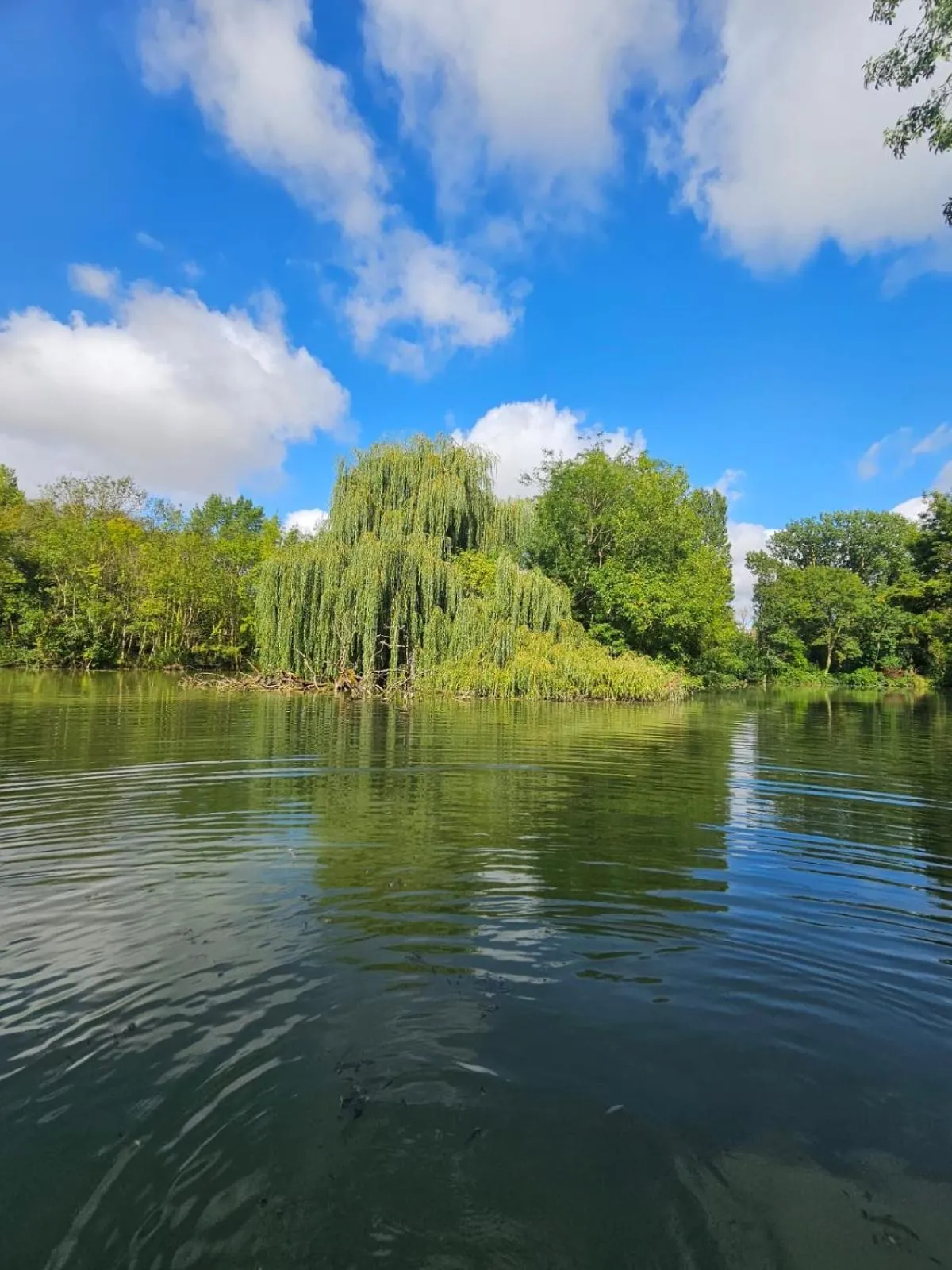 Lake view in Domaine de Fontsauzine - gîtes et chambre d'hôtes