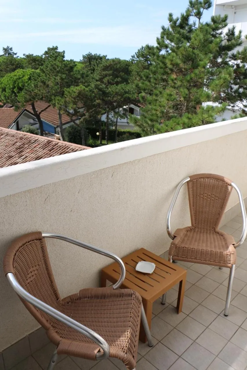 Balcony/Terrace in Hotel Bellevue