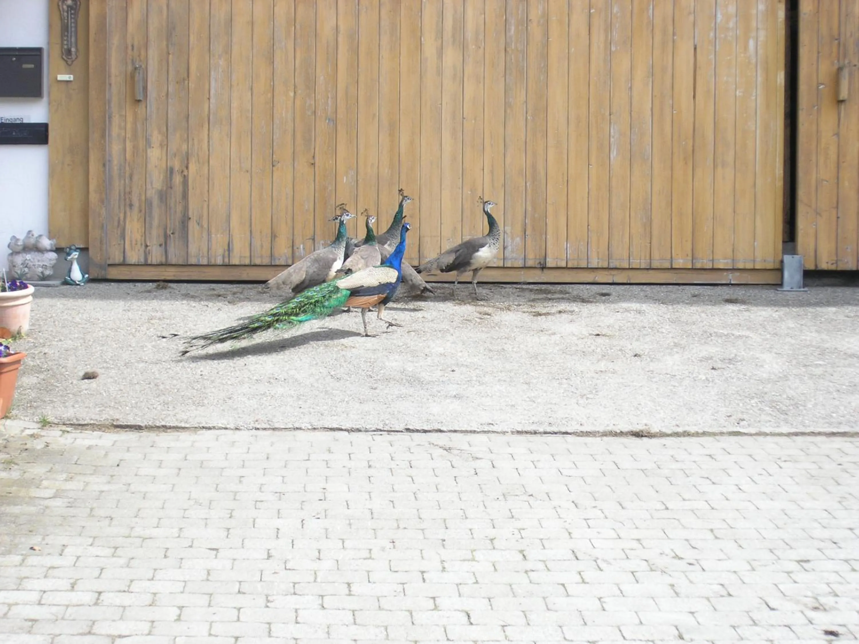 Property building in Ferienhof Müller Vorderburg