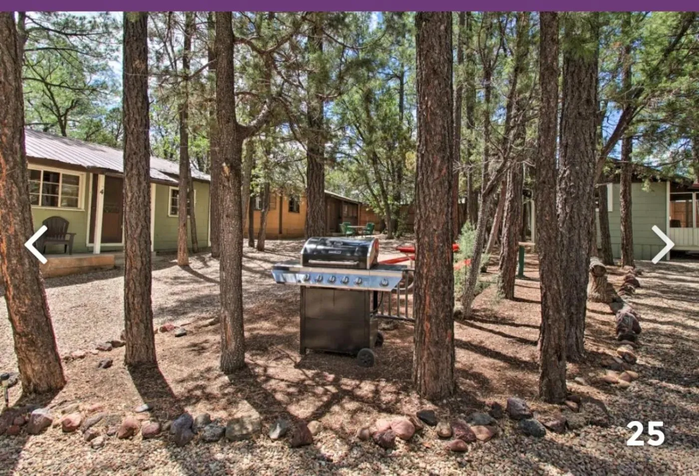 BBQ facilities in Hidden Rest Cabins and Resort