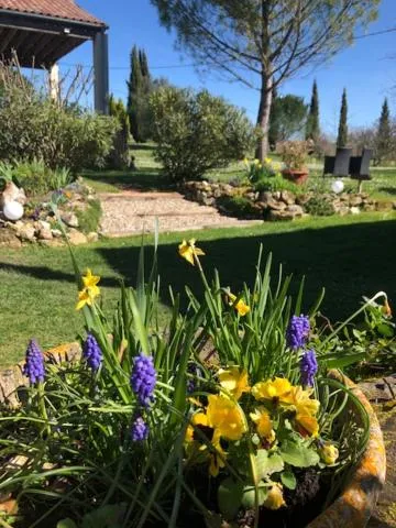Chambre d'hôtes Le Bol d'Air avec jacuzzi