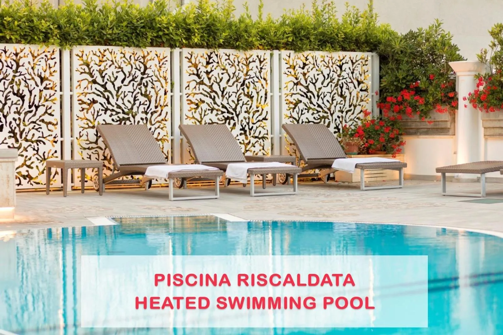 Swimming pool in Hotel Feldberg