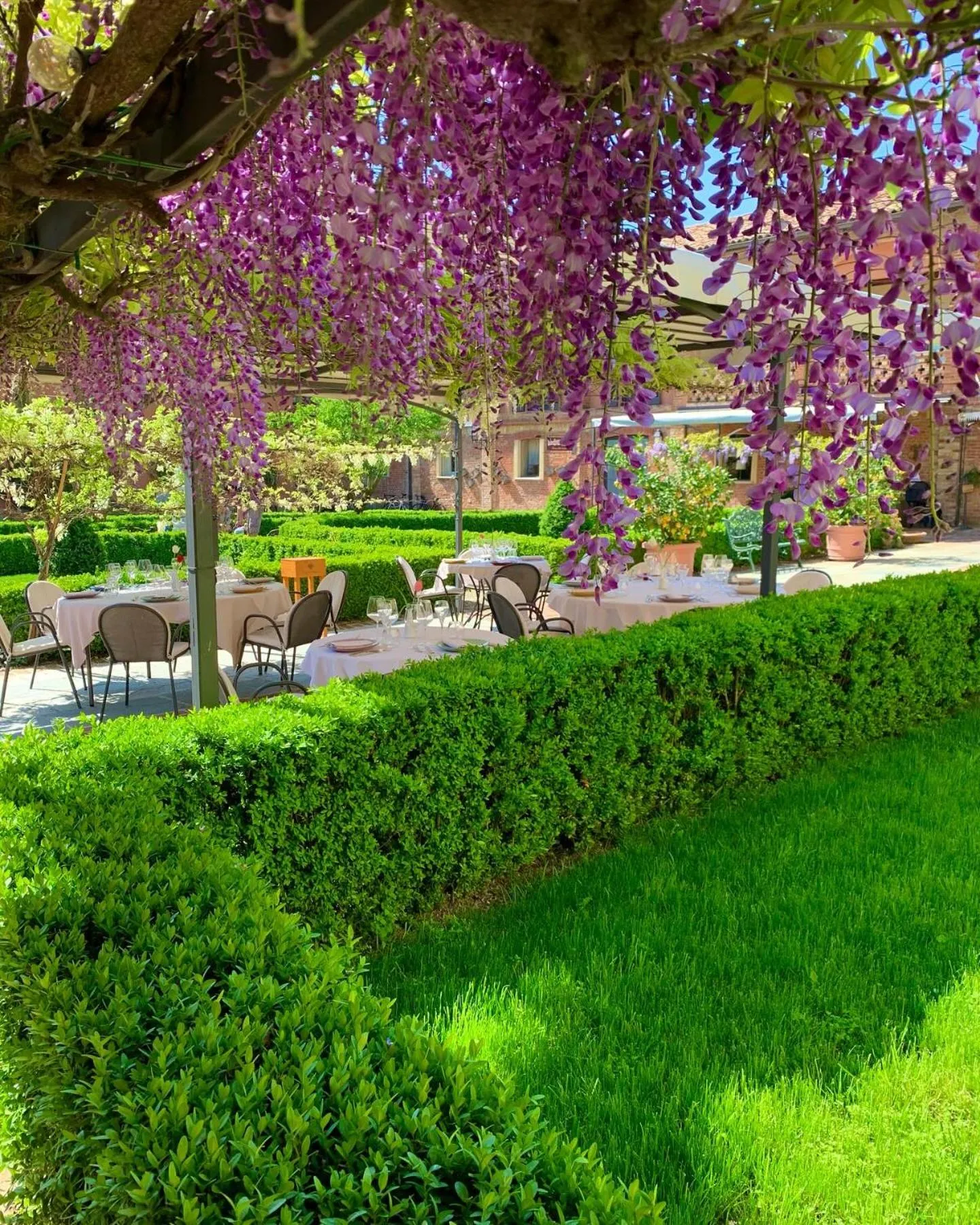 Restaurant/places to eat in Relais Castello di Razzano