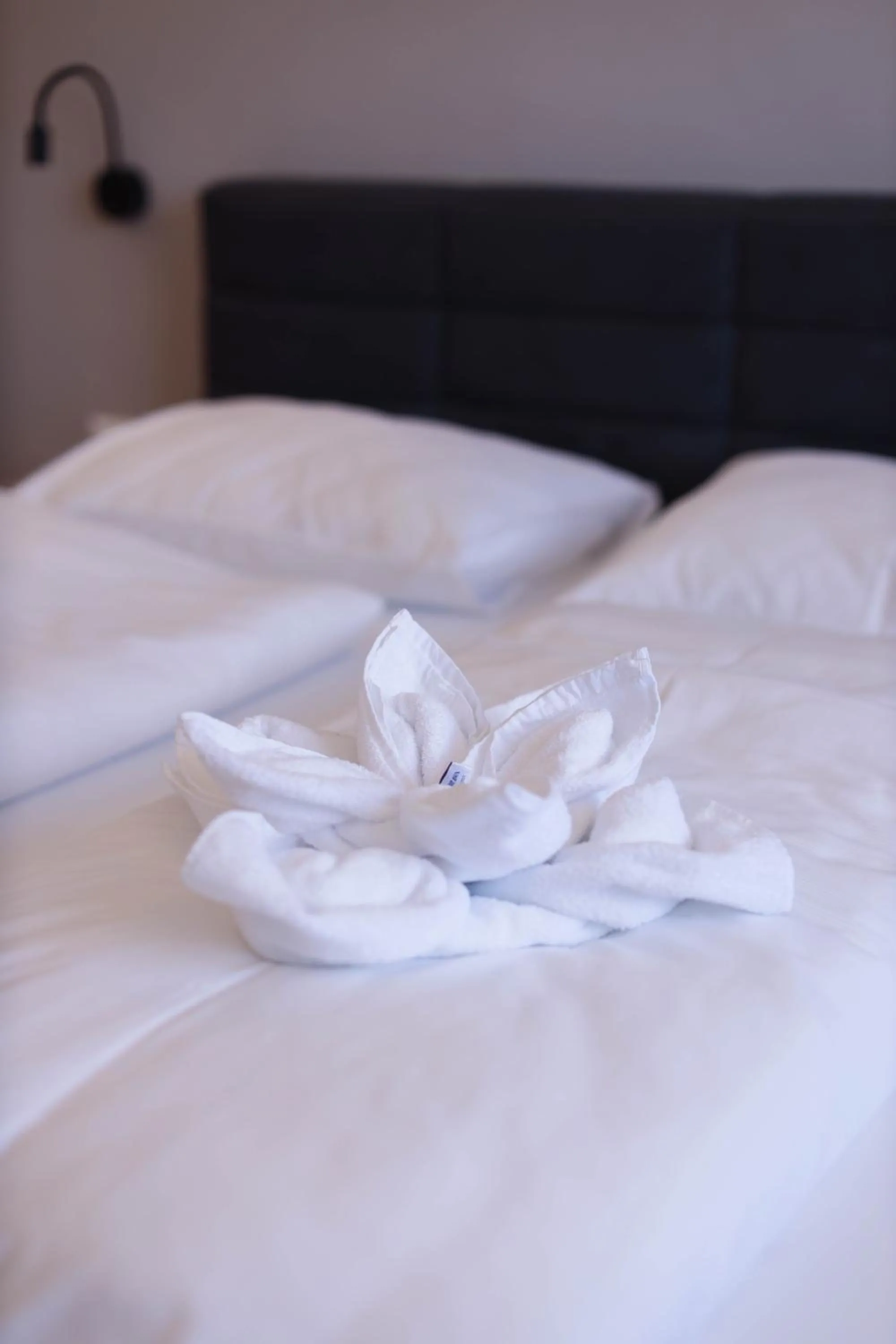 Bed in PARKHOTEL Krems