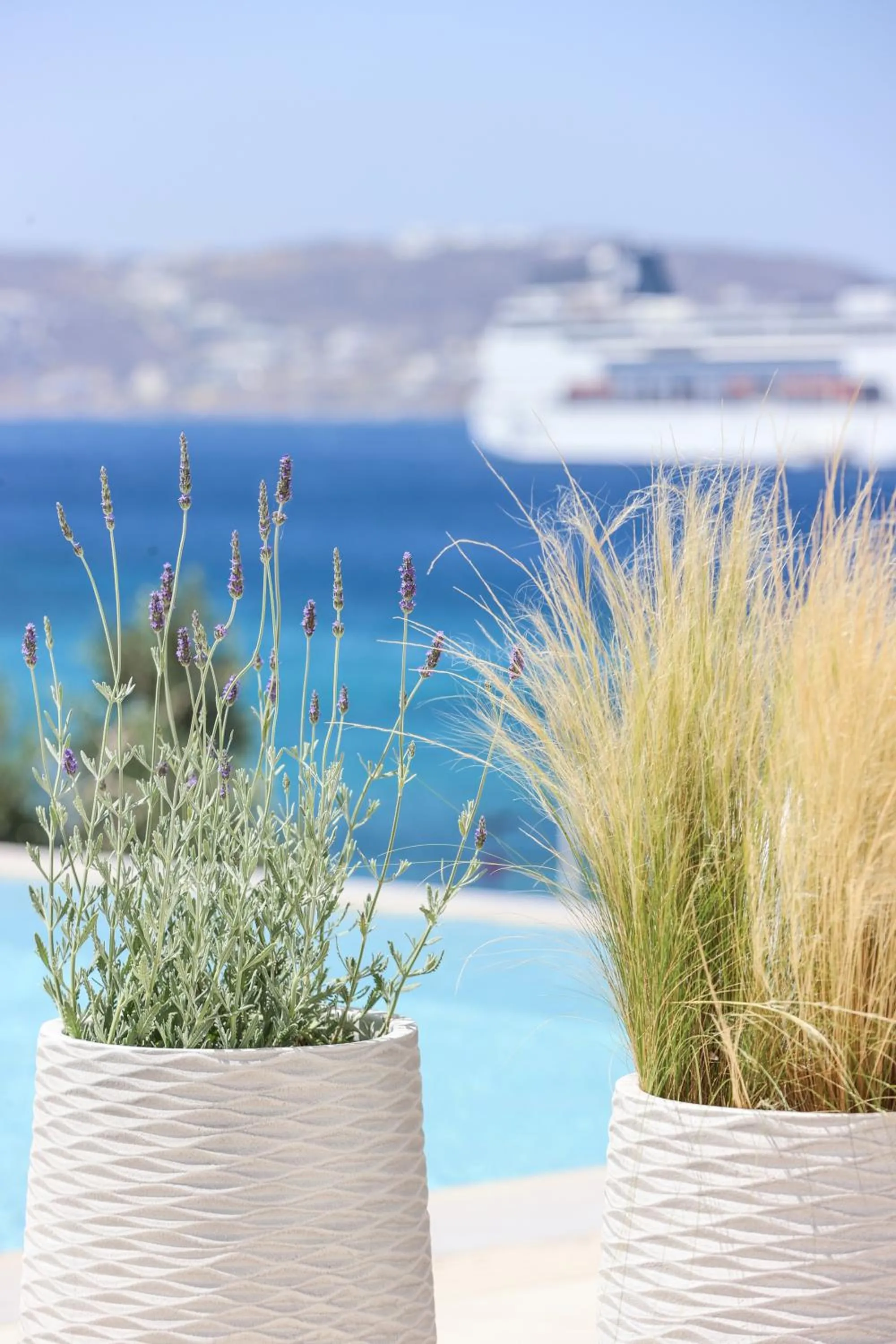 Natural landscape in Life Suites