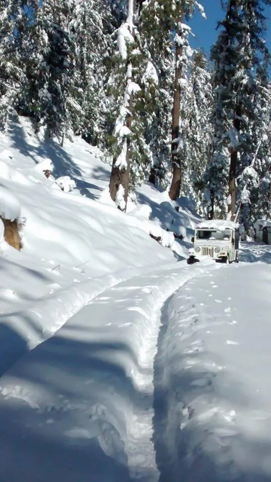 Winter in Tethys Himalaya Narkanda