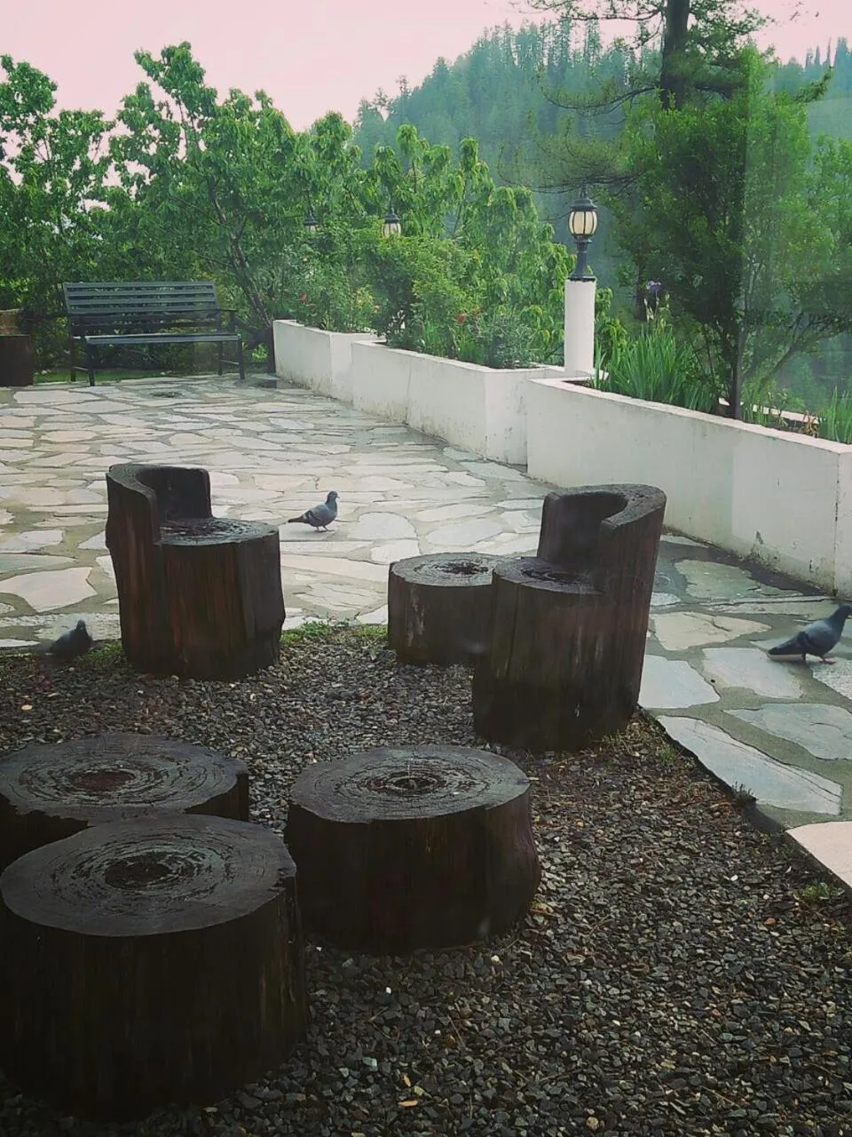 Day in Tethys Himalaya Narkanda