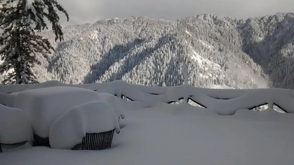 Winter in Tethys Himalaya Narkanda