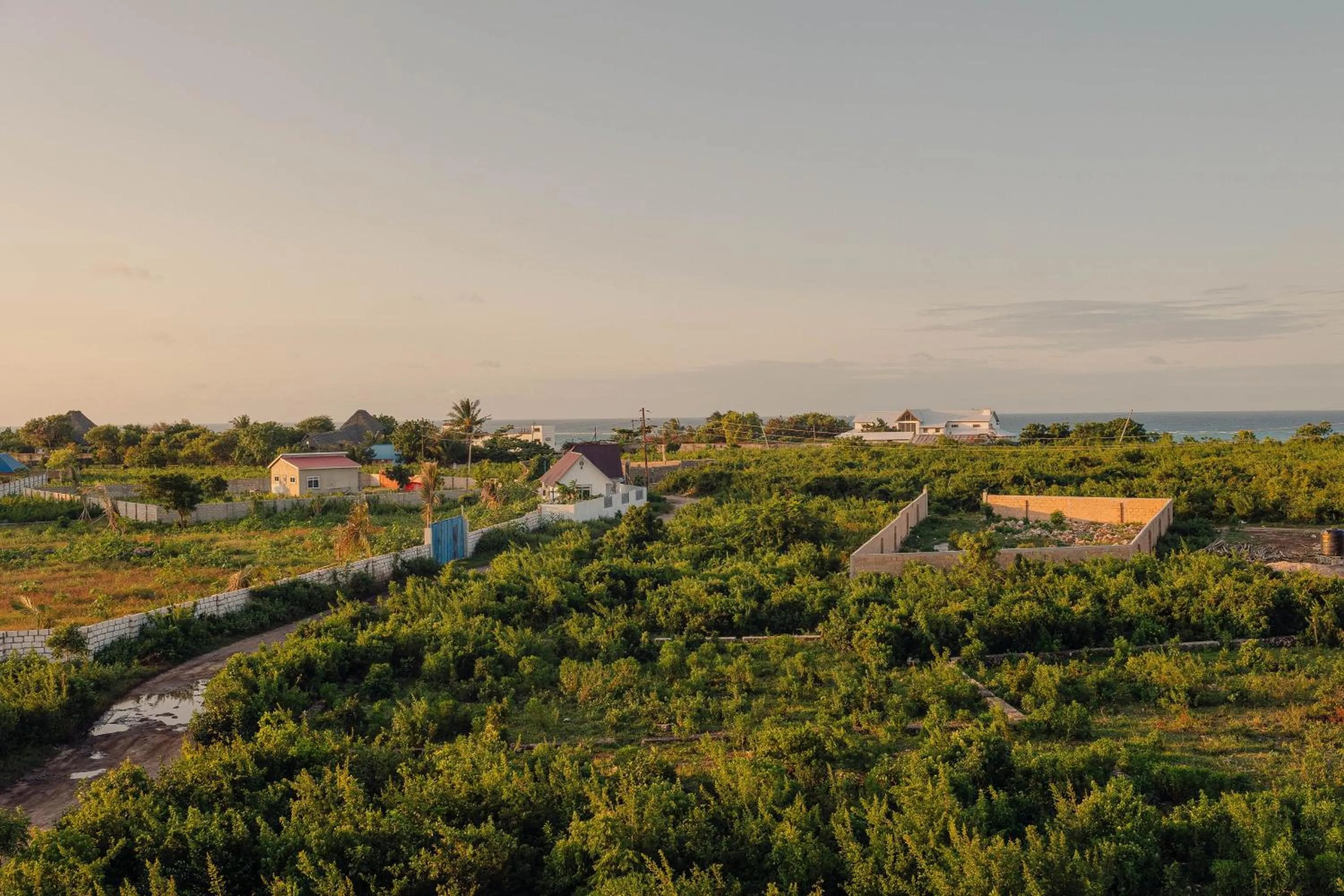 View (from property/room) in Ocean Breeze Hotel