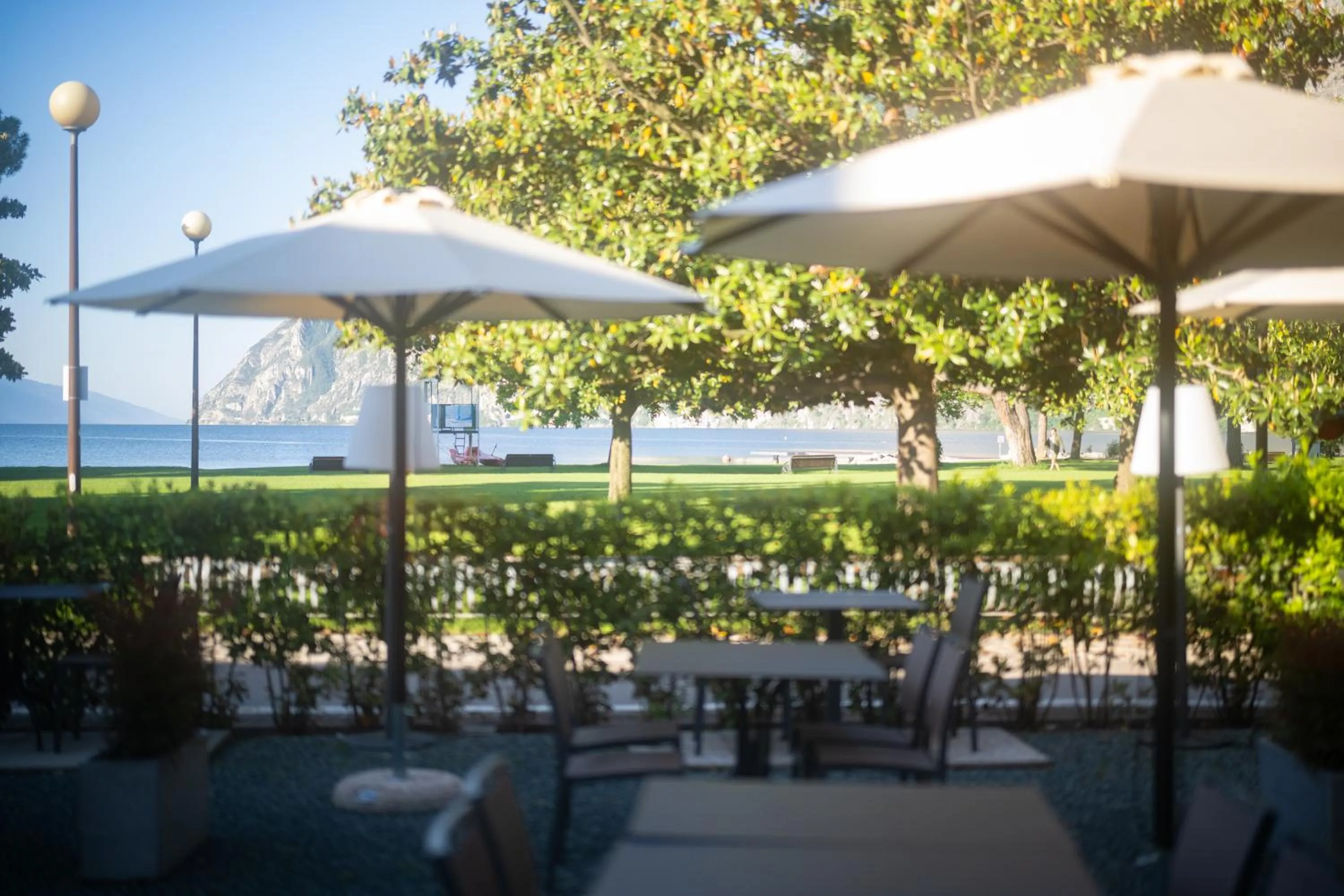 Garden in Hotel Bellariva