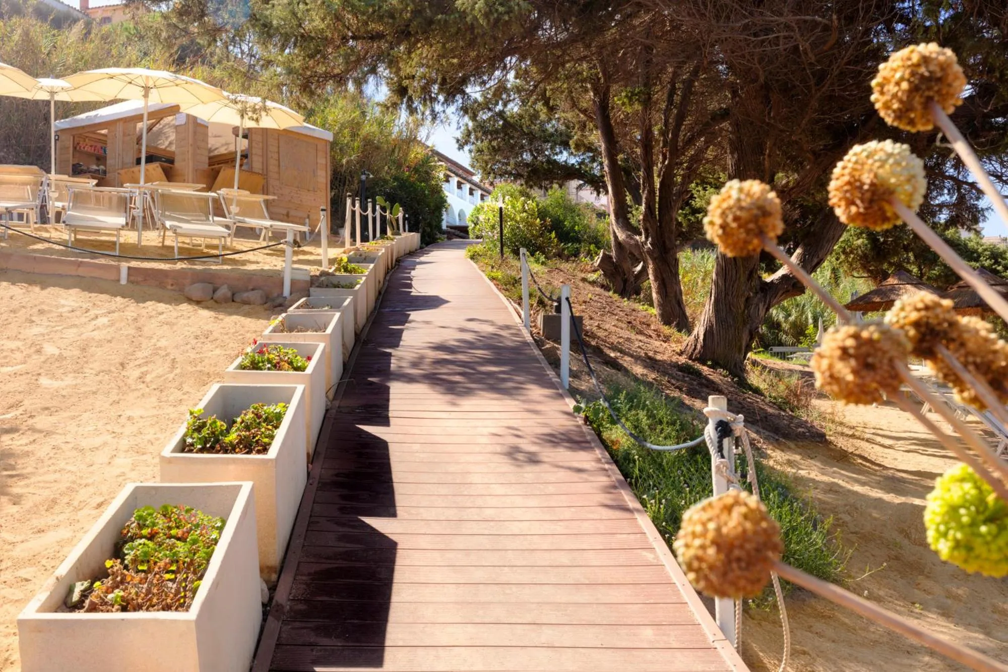 Garden in Hotel Moresco