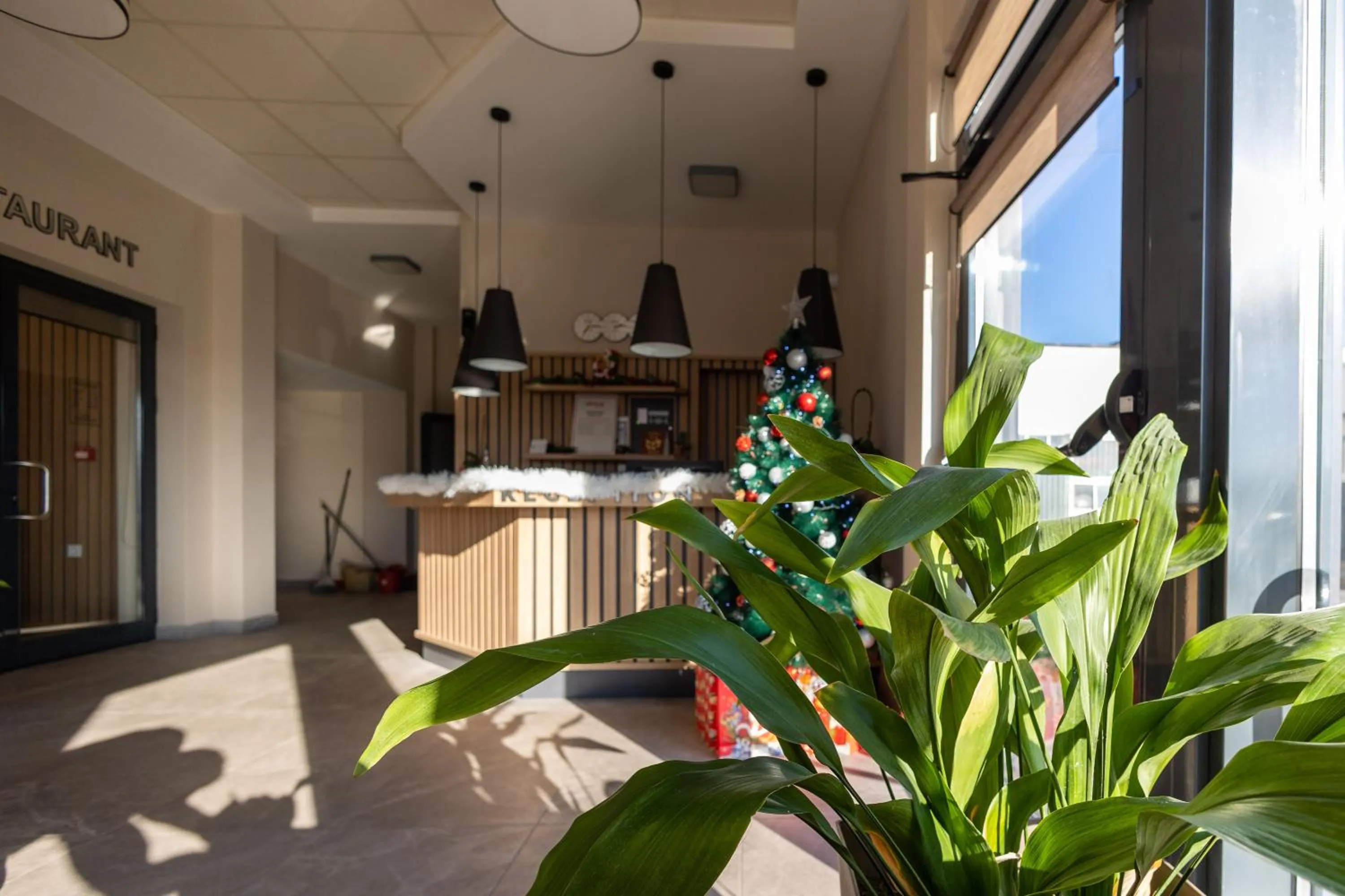 Lobby or reception in Hotel Verticalplus