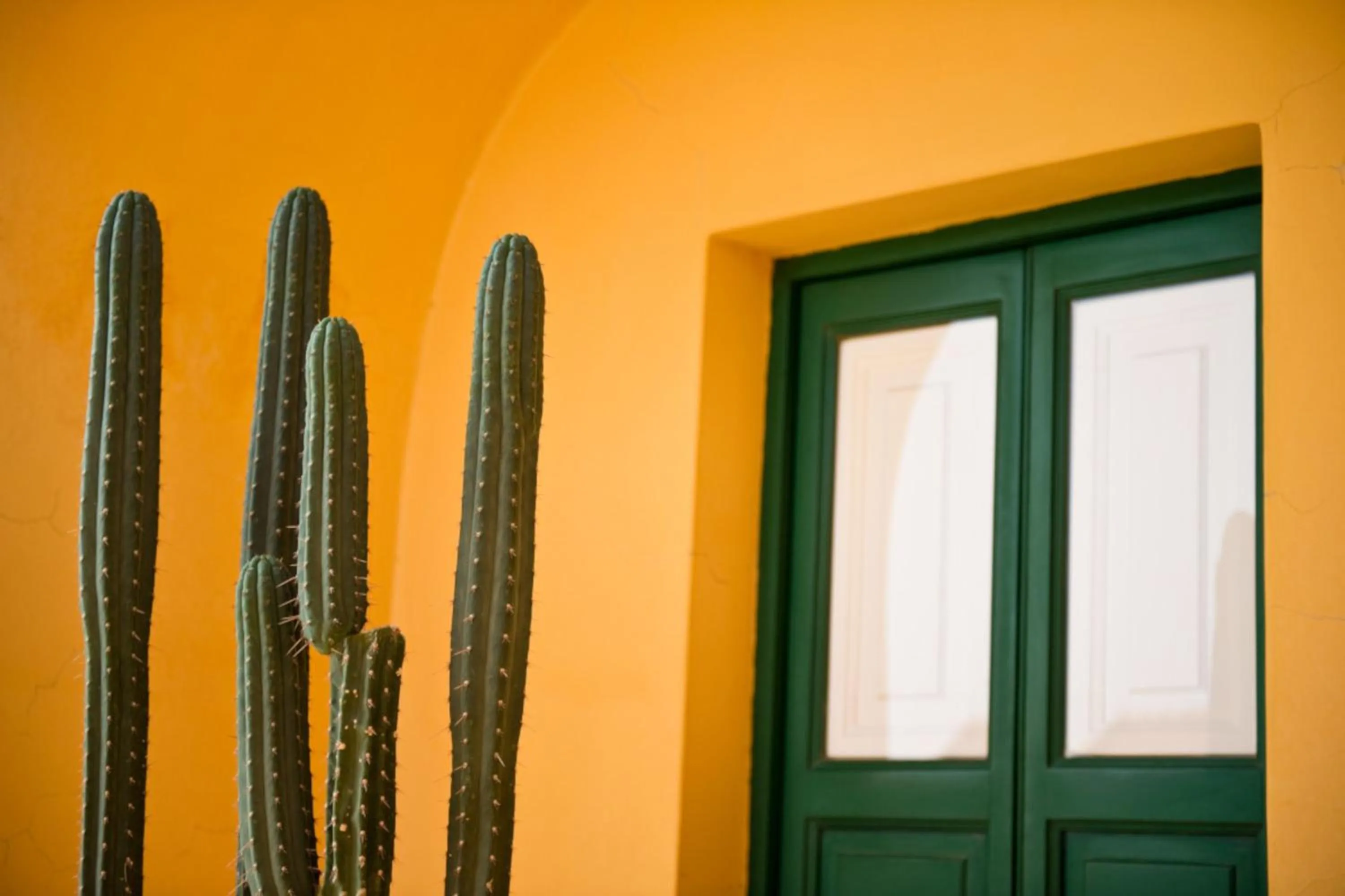 Property building in Hotel Signum