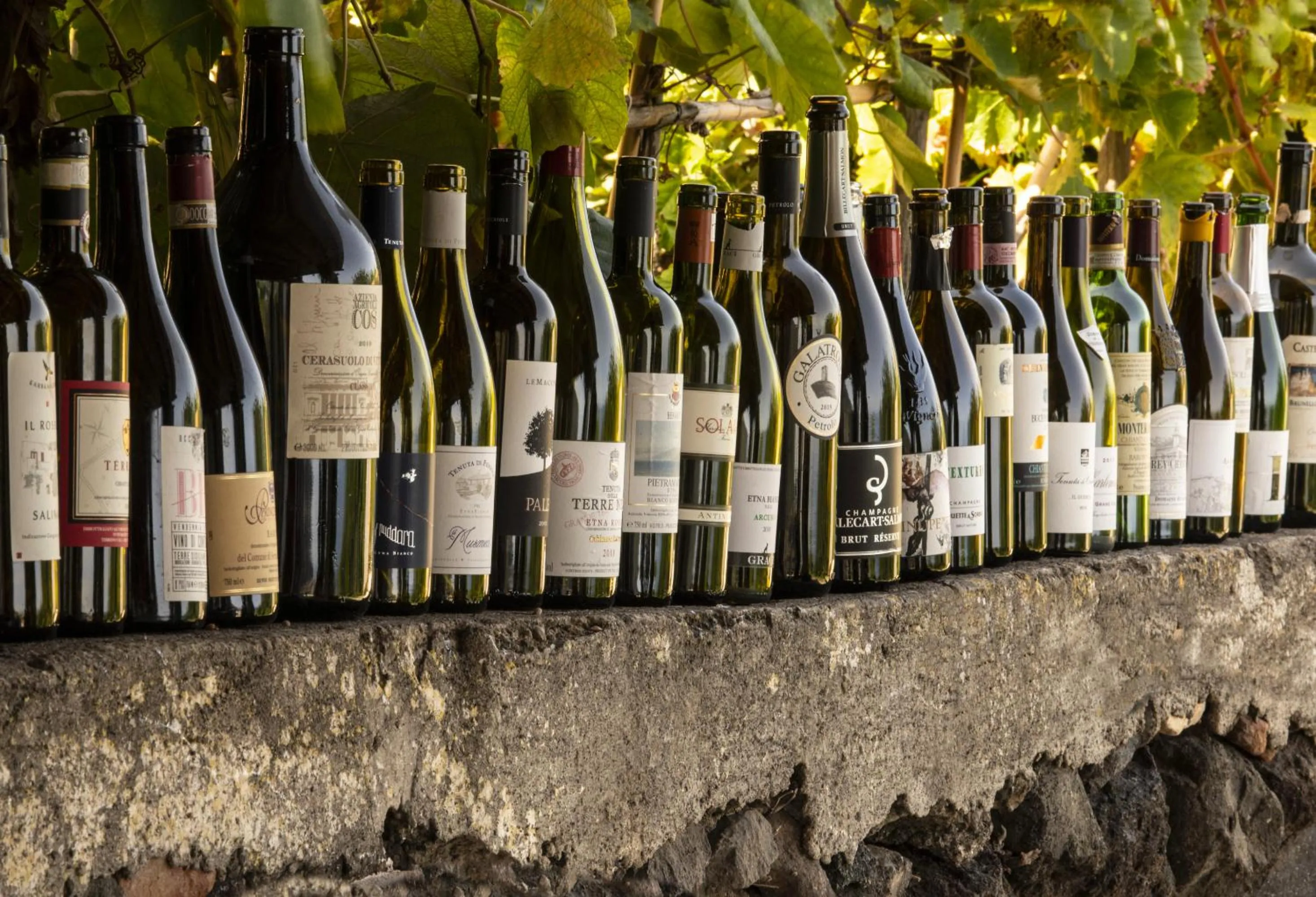 Restaurant/places to eat in Hotel Signum